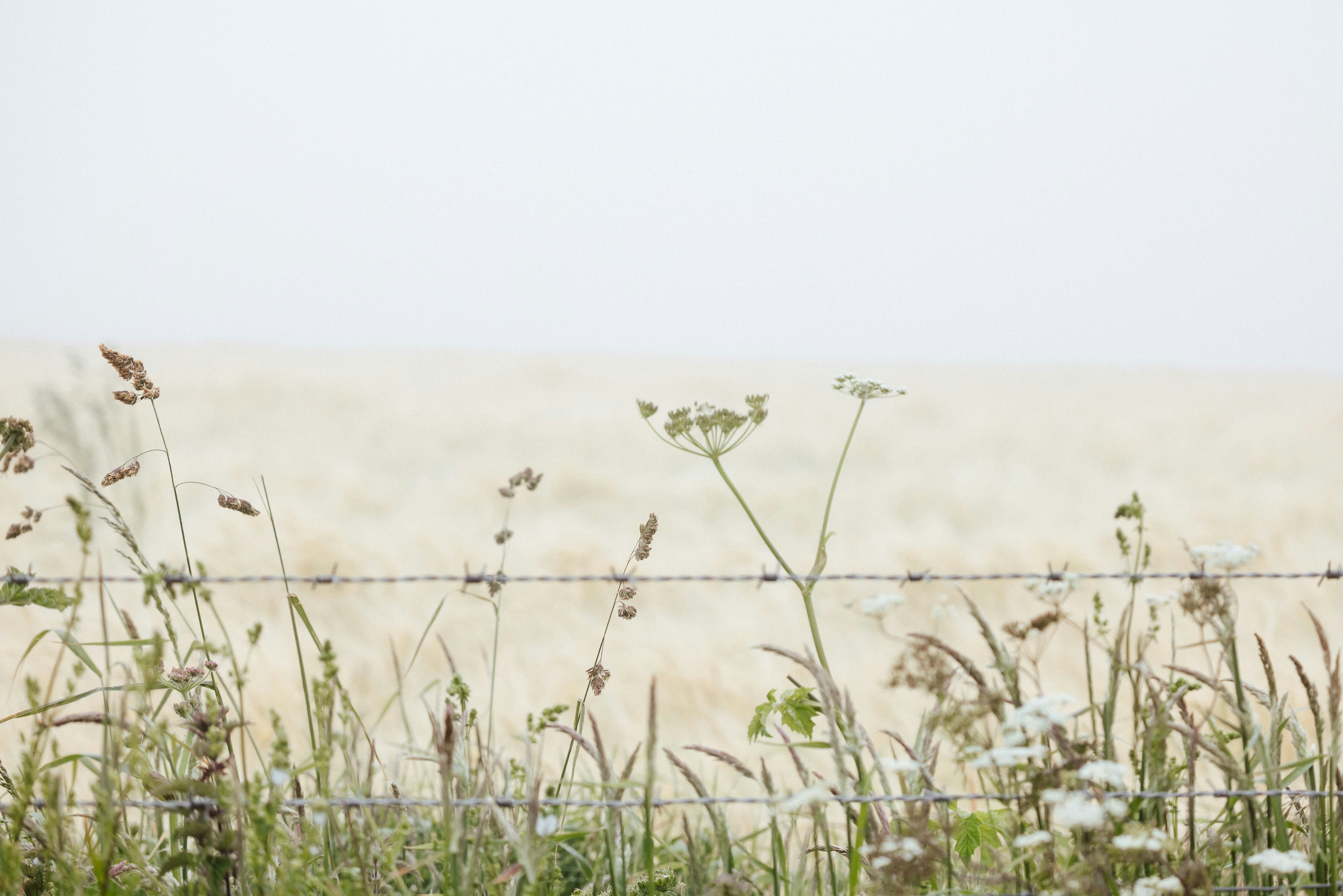 Photo by anniespratt