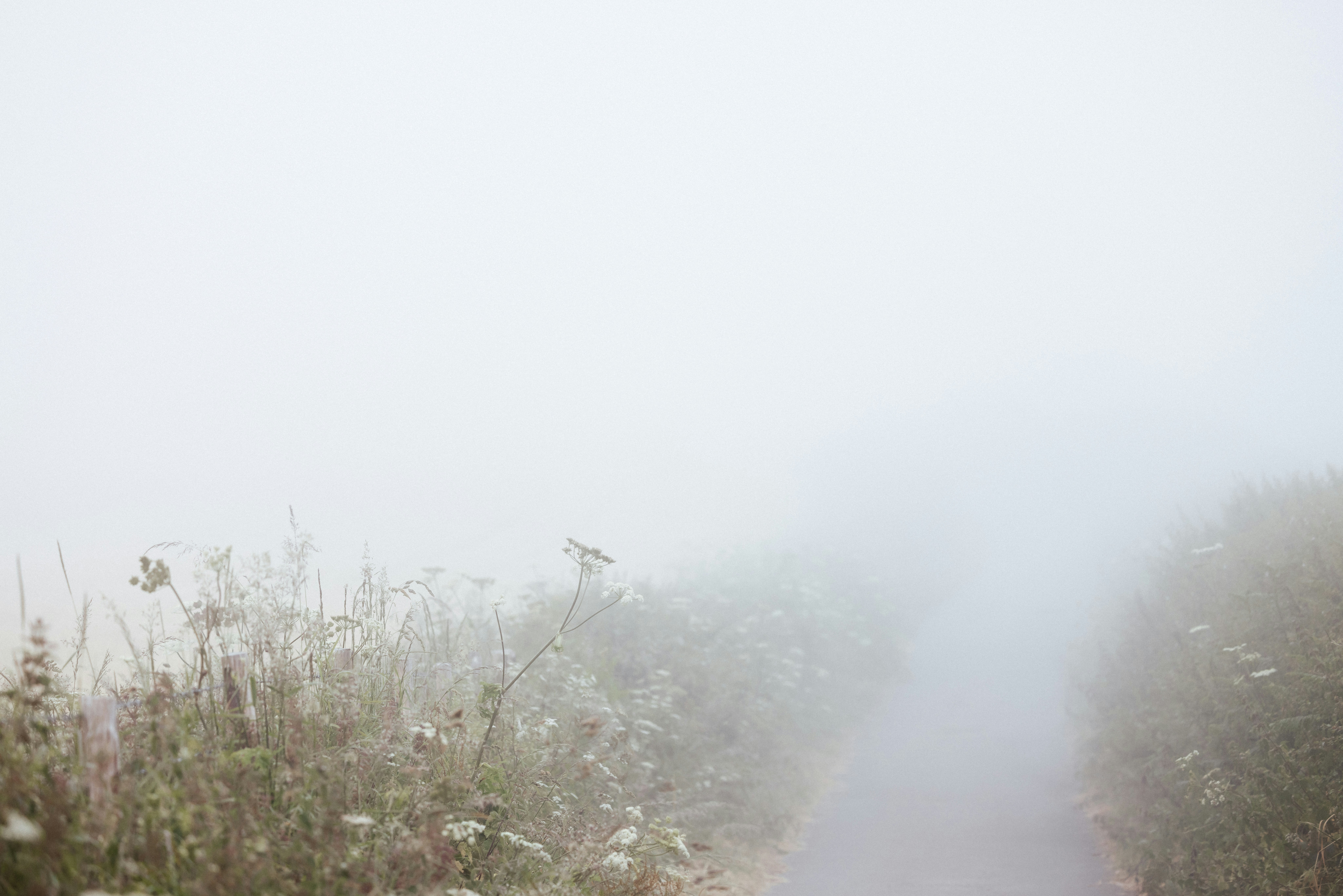 Photo by anniespratt