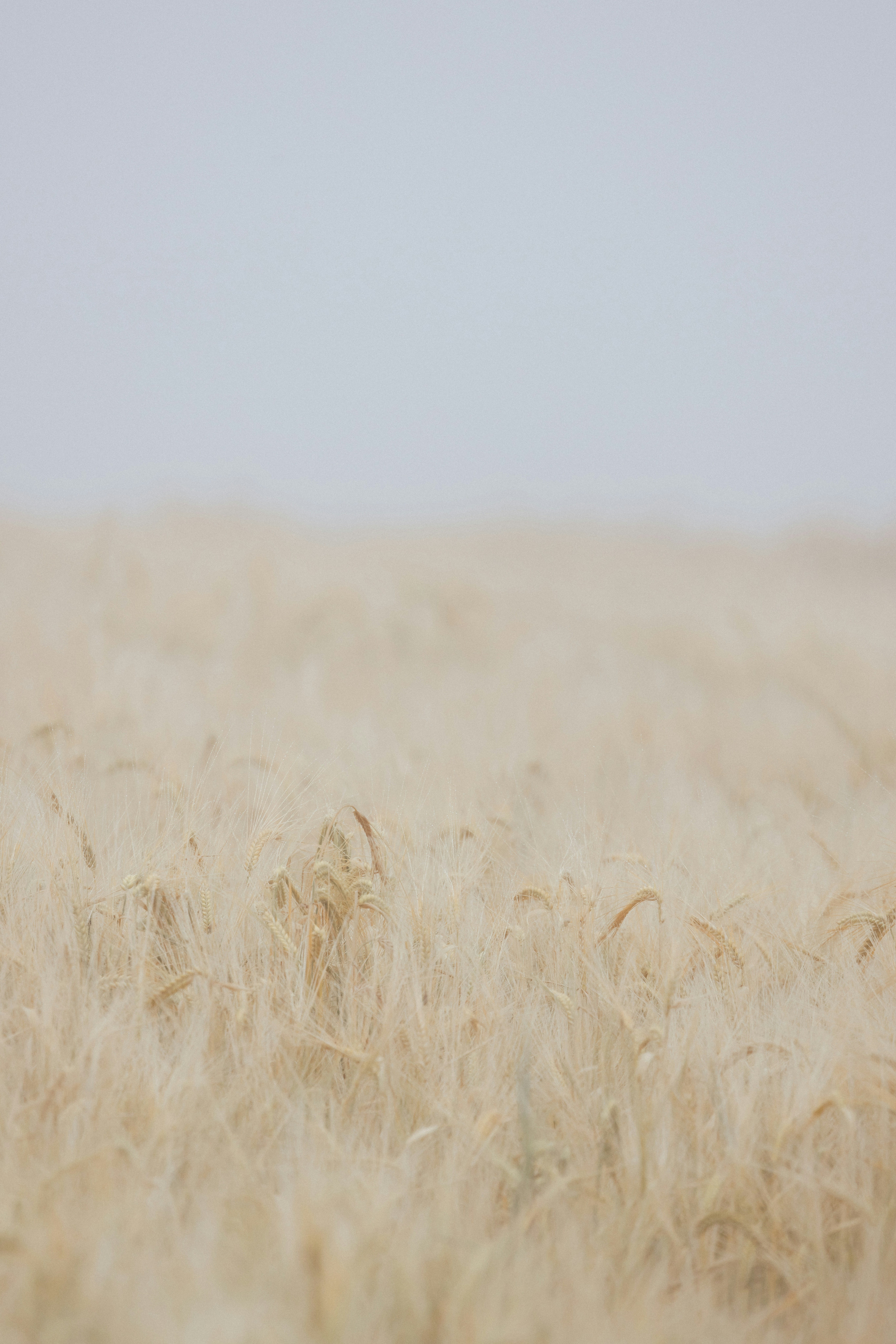 Photo by anniespratt