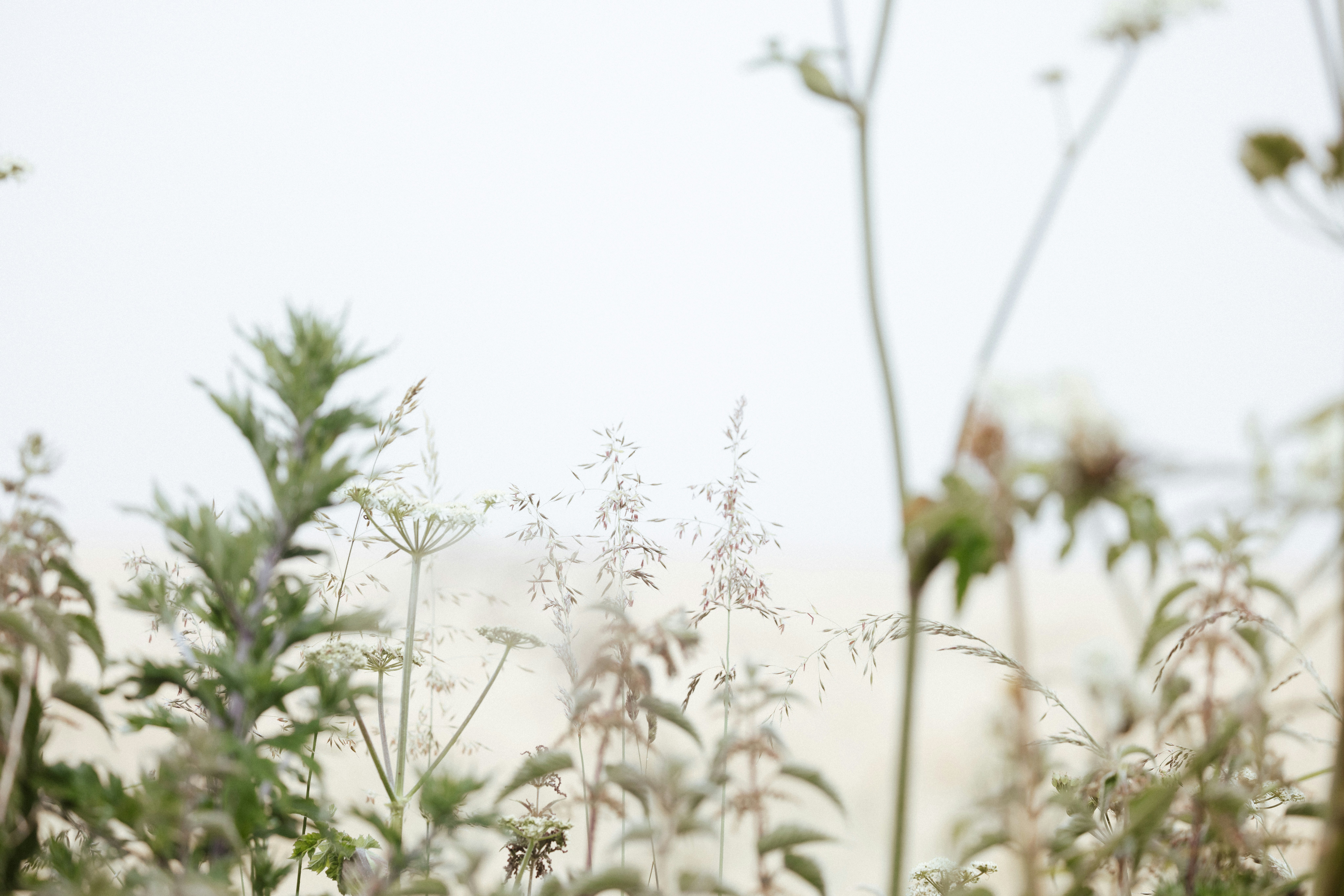 Photo by anniespratt