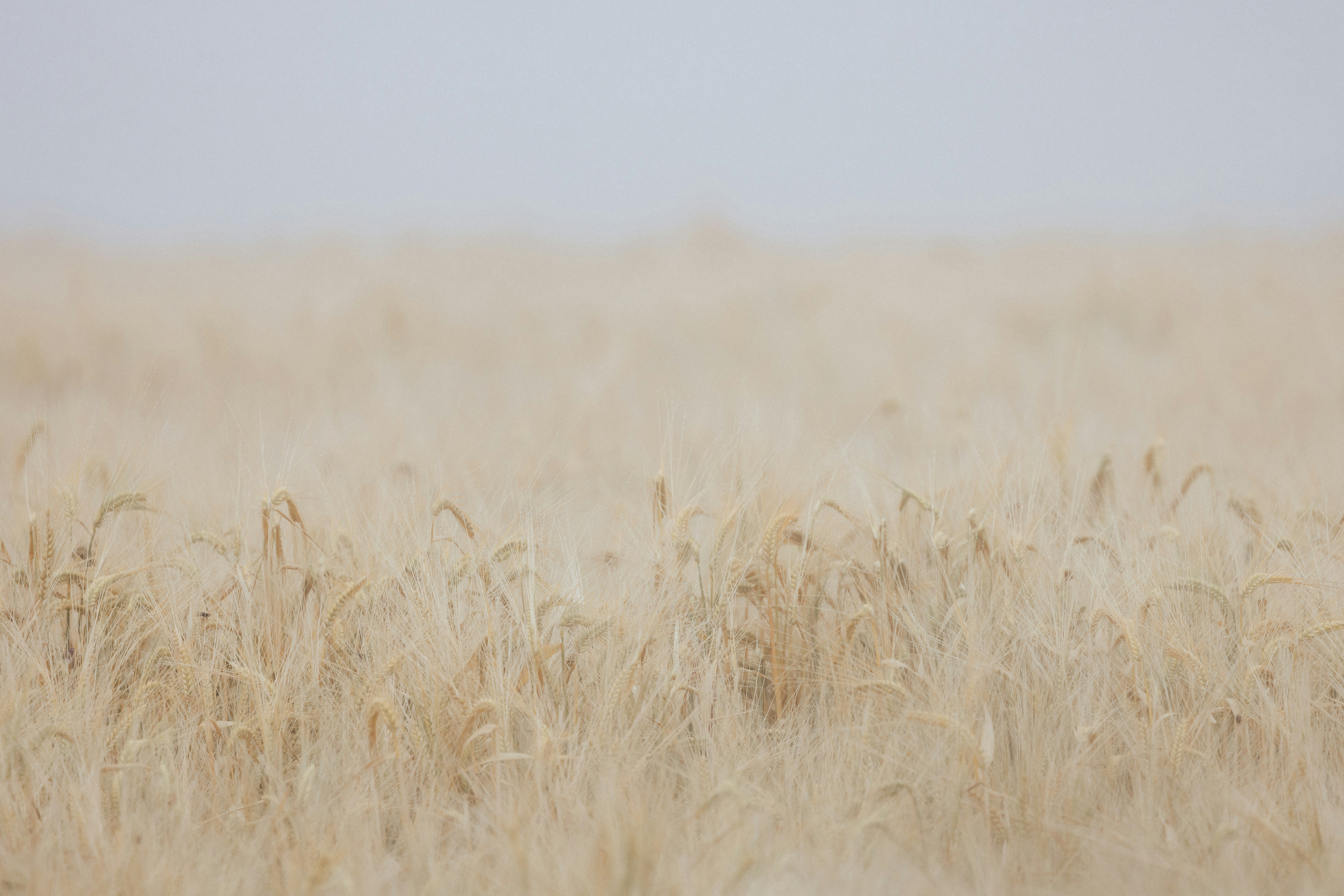 Photo by anniespratt