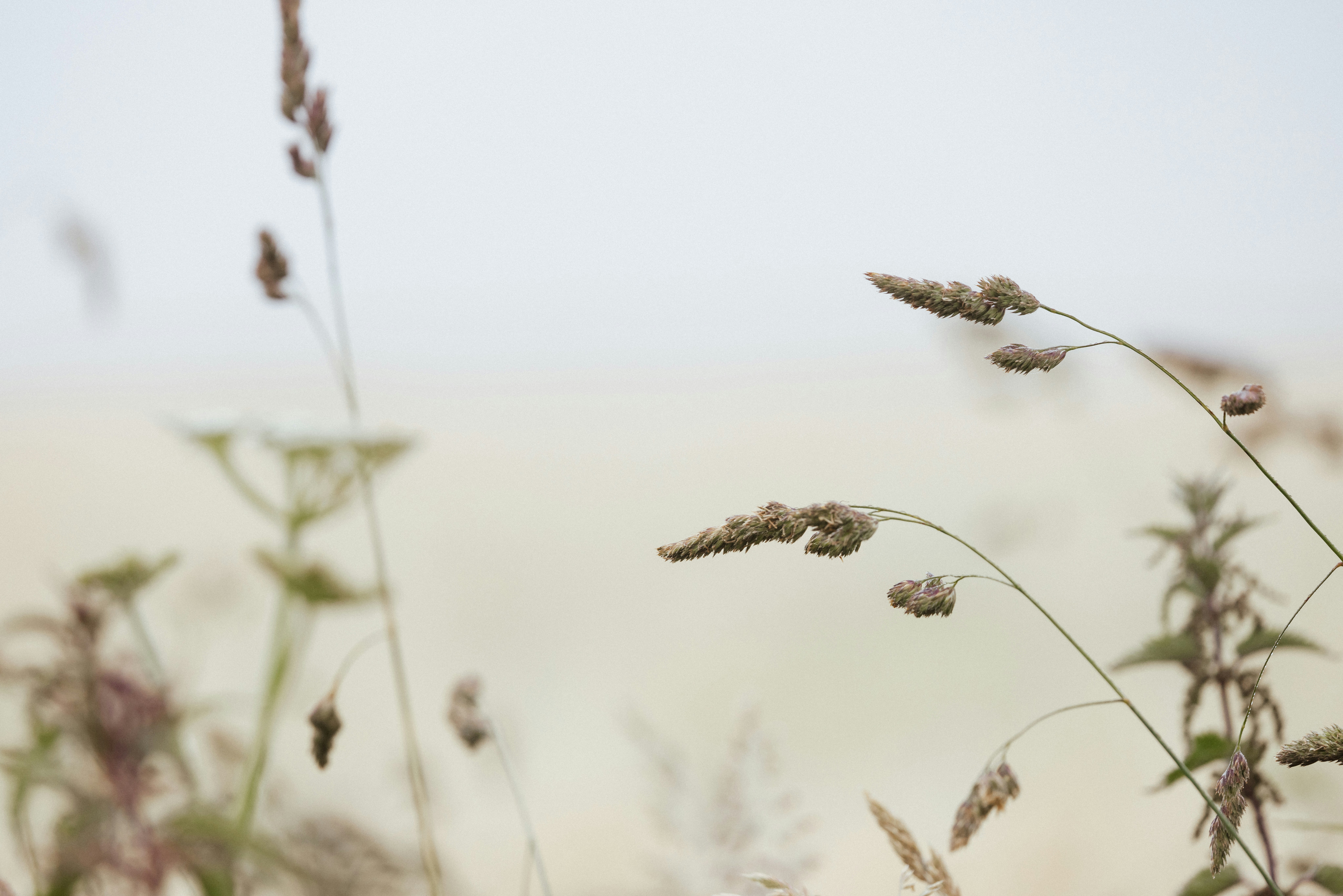 Photo by anniespratt