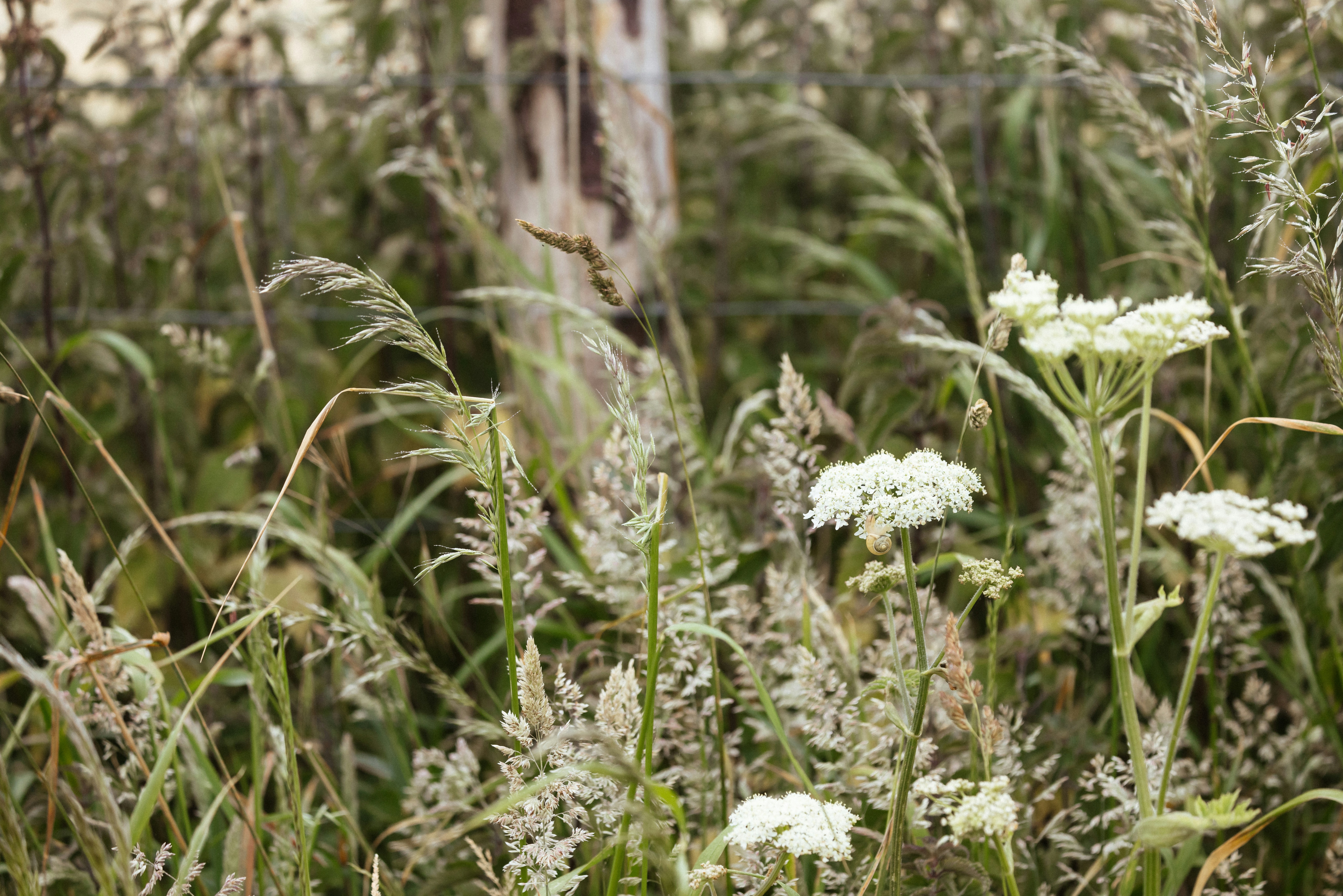 Photo by anniespratt