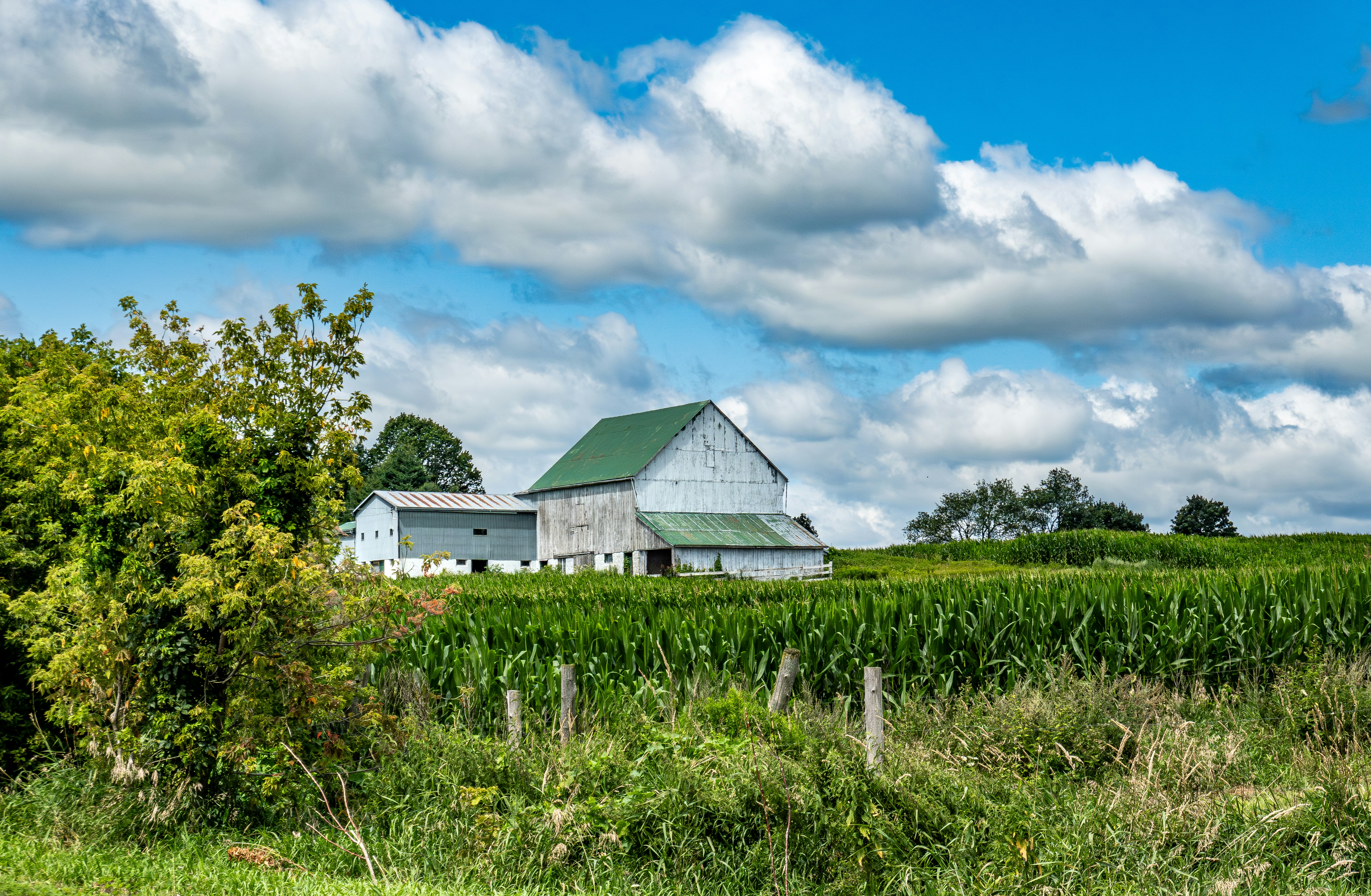 Una granja con un granero en medio de un campo foto – Imagen de Granja  gratuita en Unsplash, image size:3000x1962
