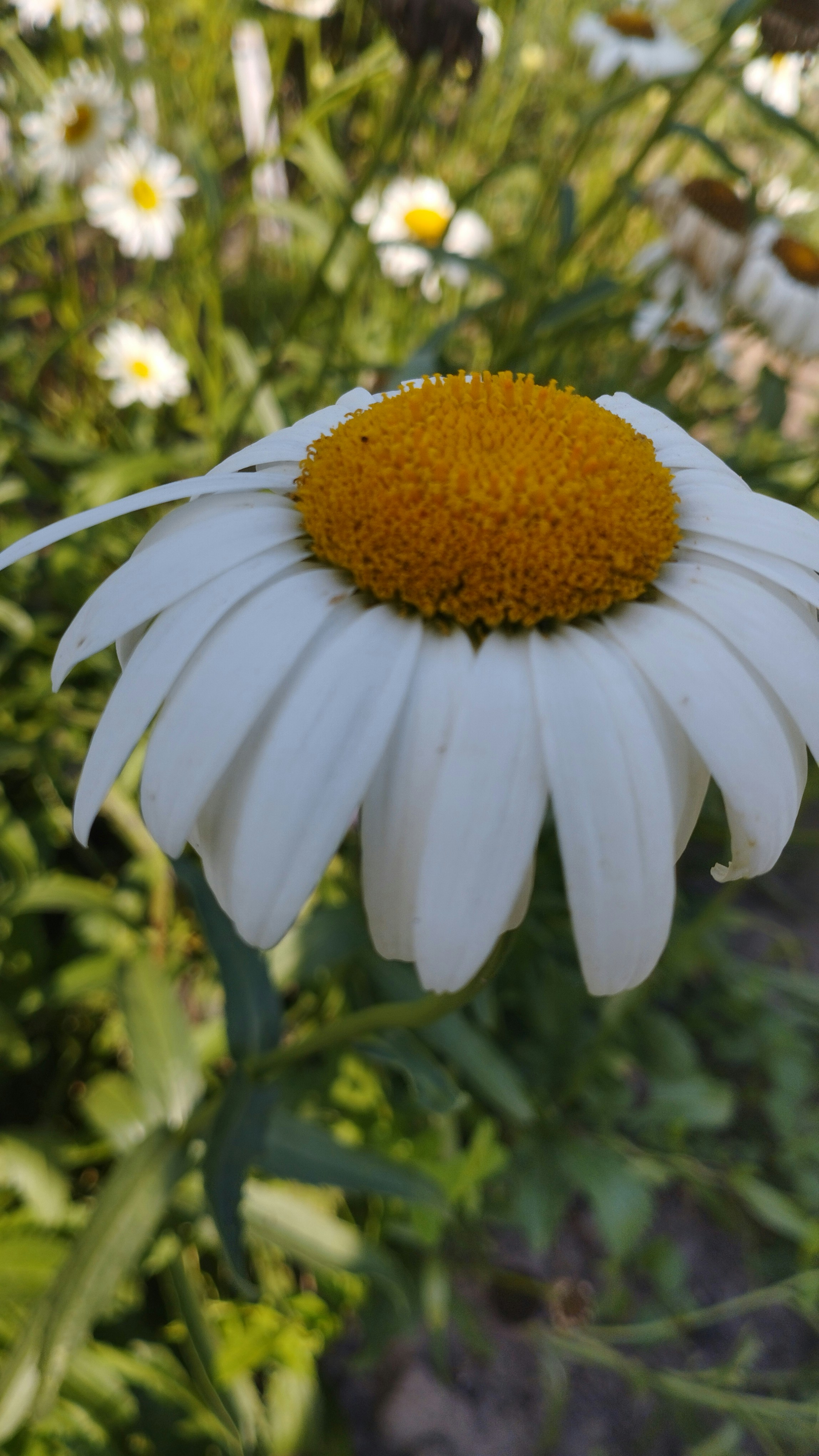 Photo by yulij15semenyuk