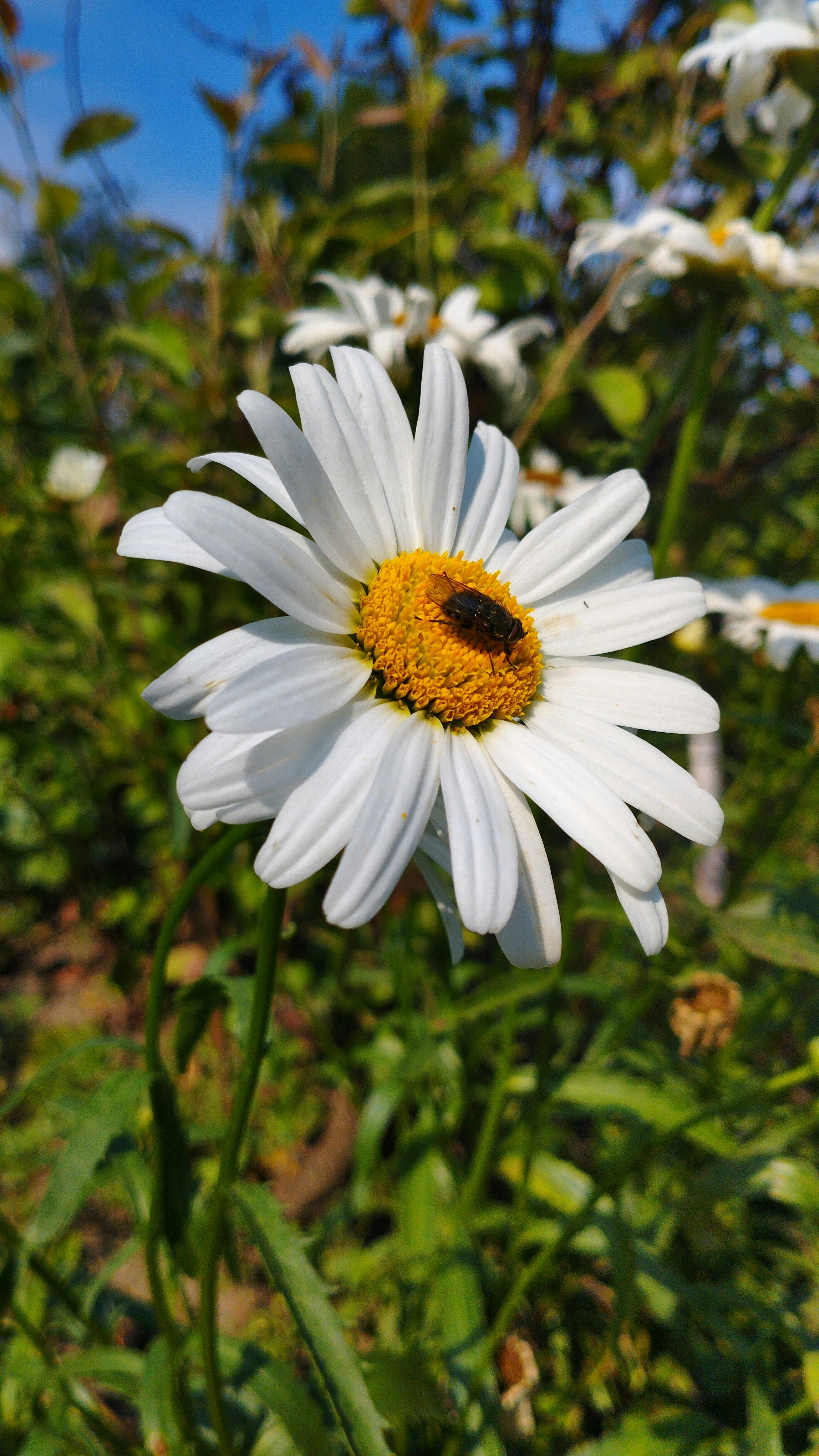 Photo by yulij15semenyuk