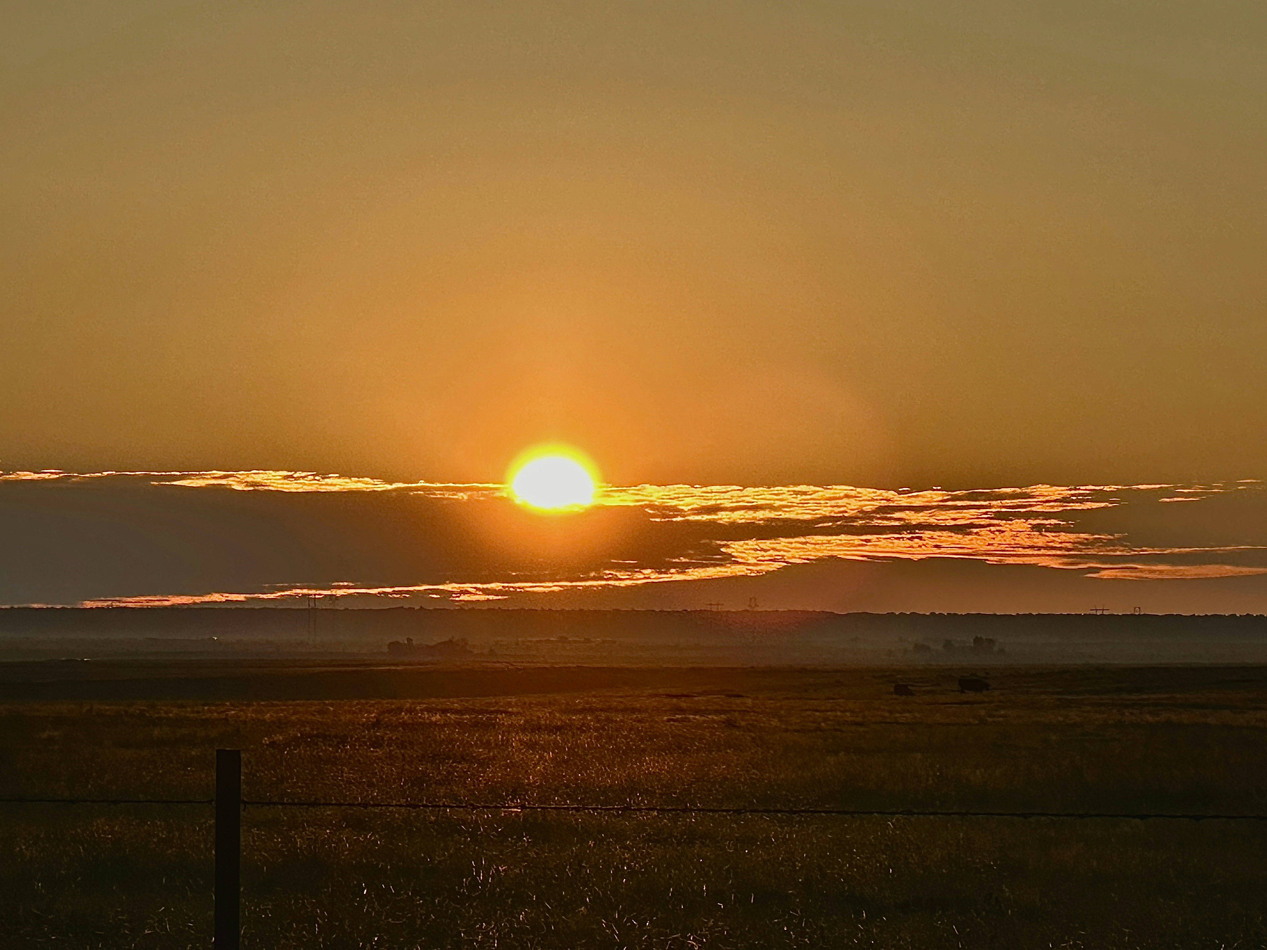 Photo by sterlingfoxphotos