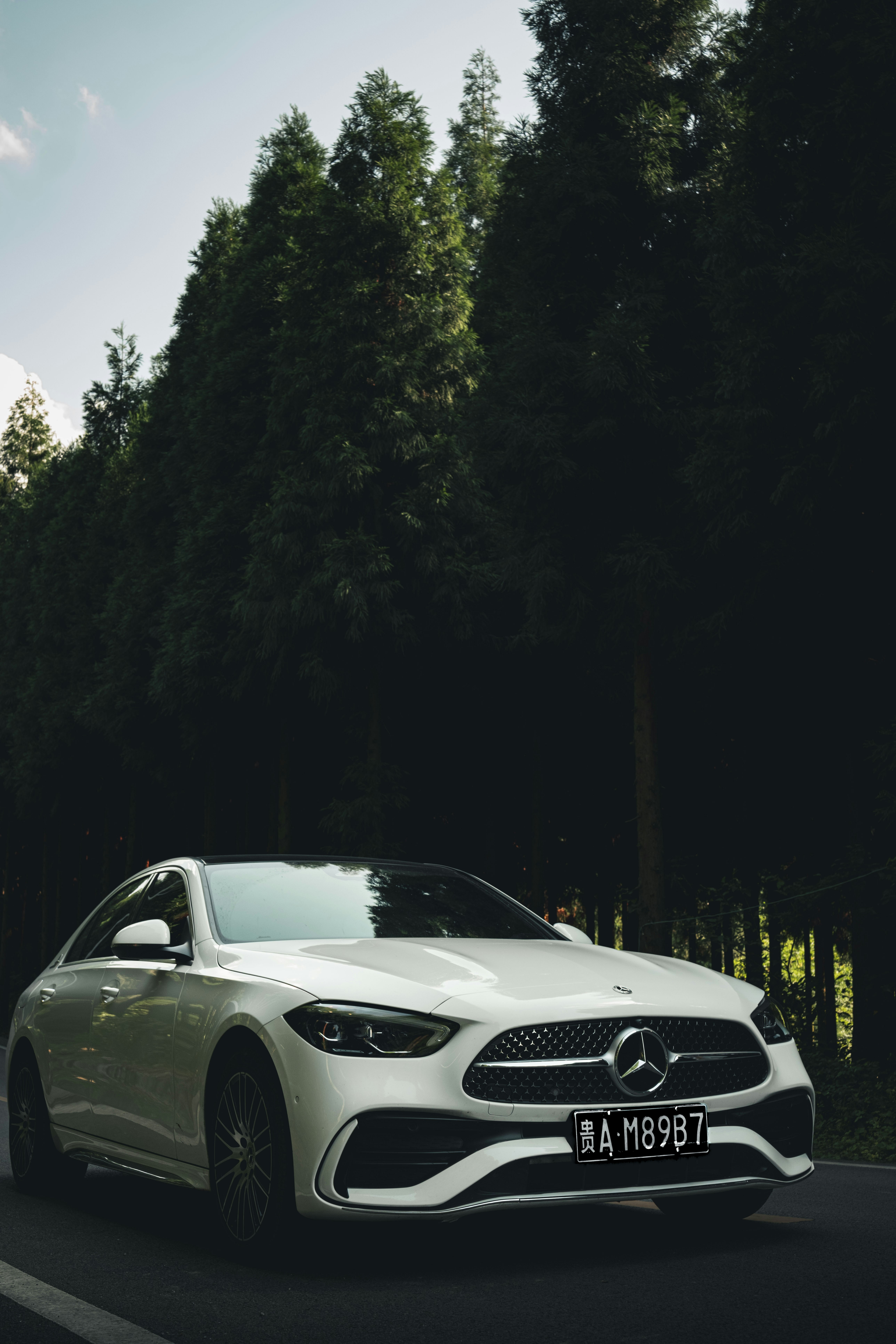 Photo by yokonoito0512