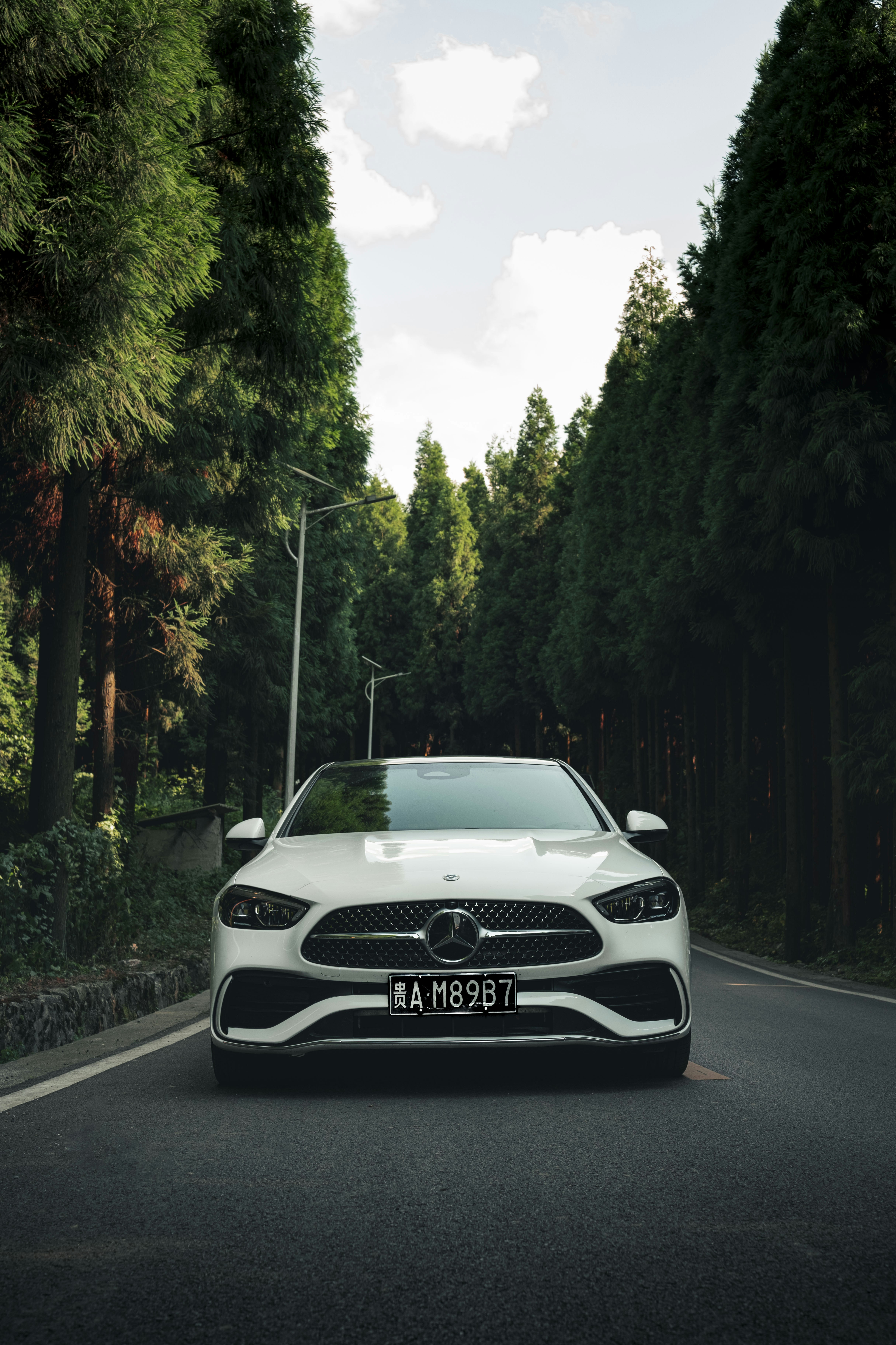 Photo by yokonoito0512