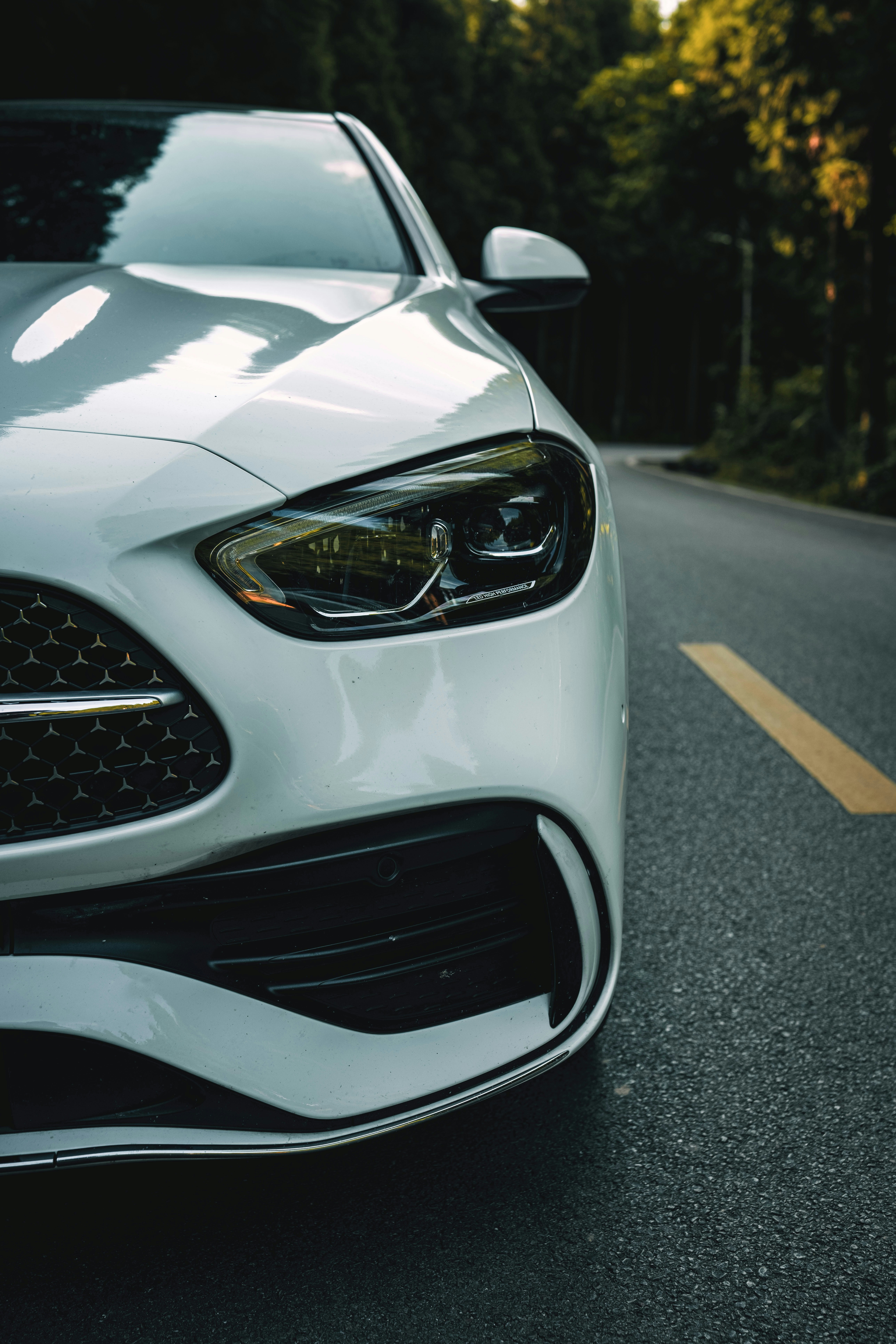 Photo by yokonoito0512