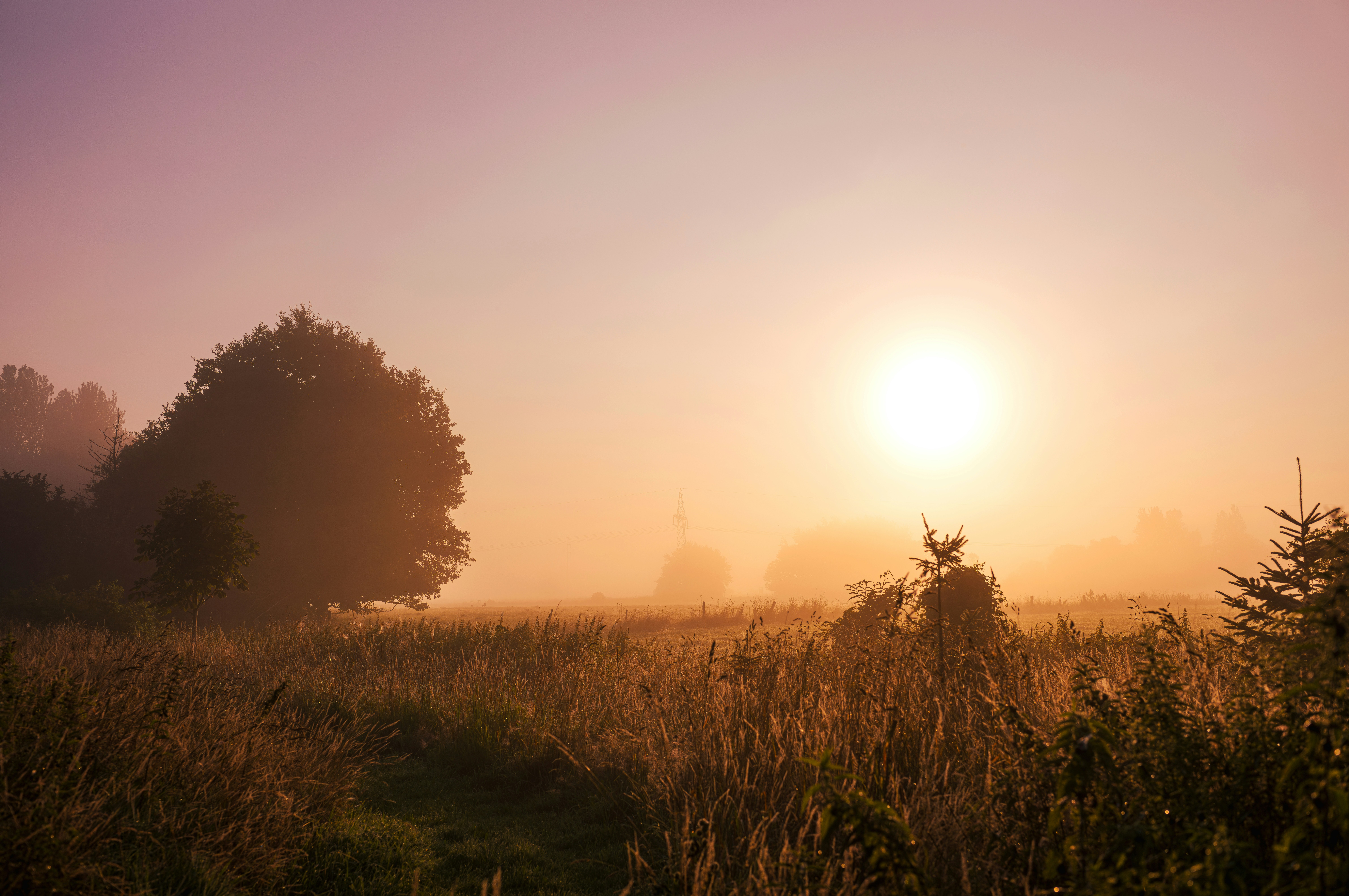 Photo by dieter_muenchen