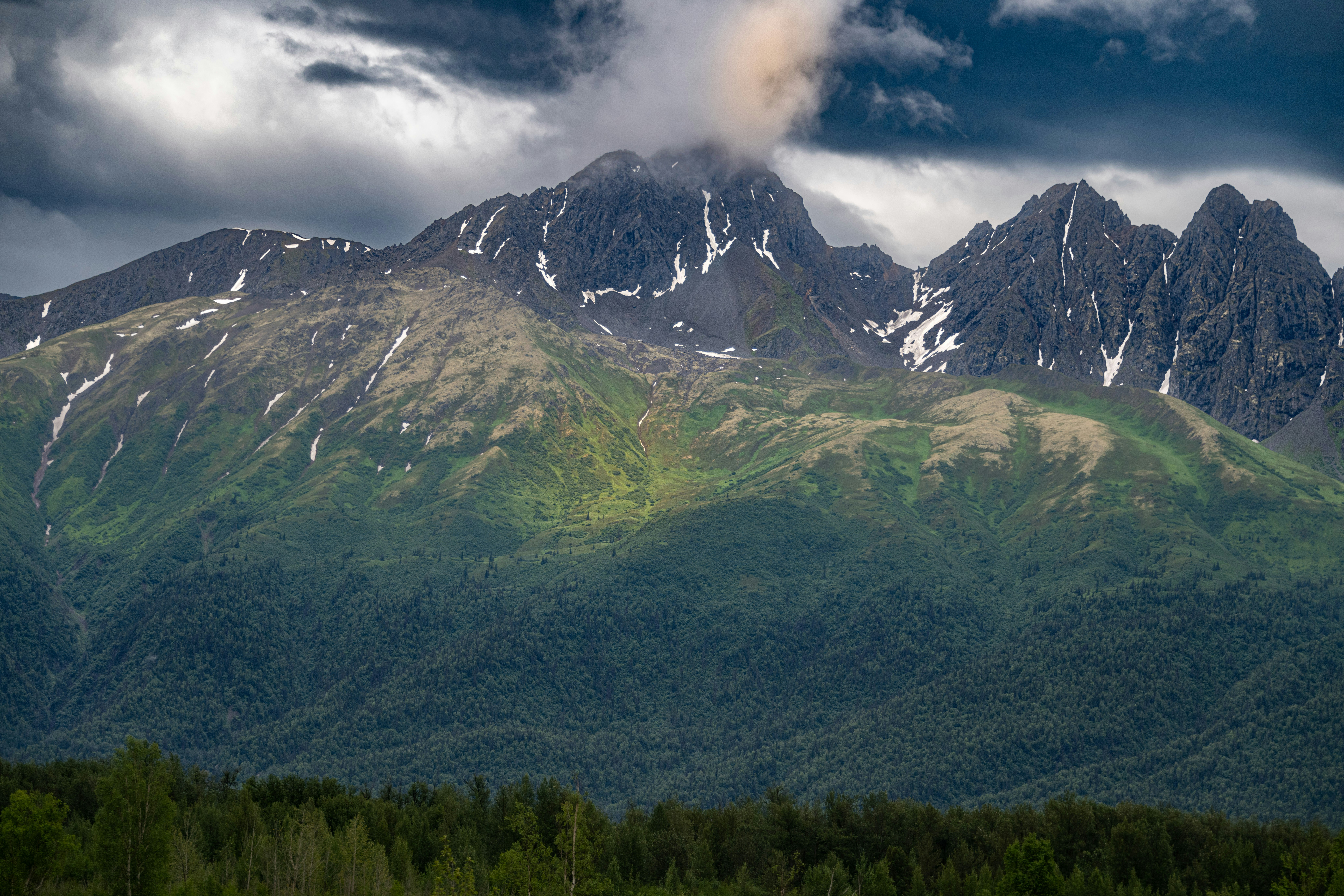 Denali National Park Adventure