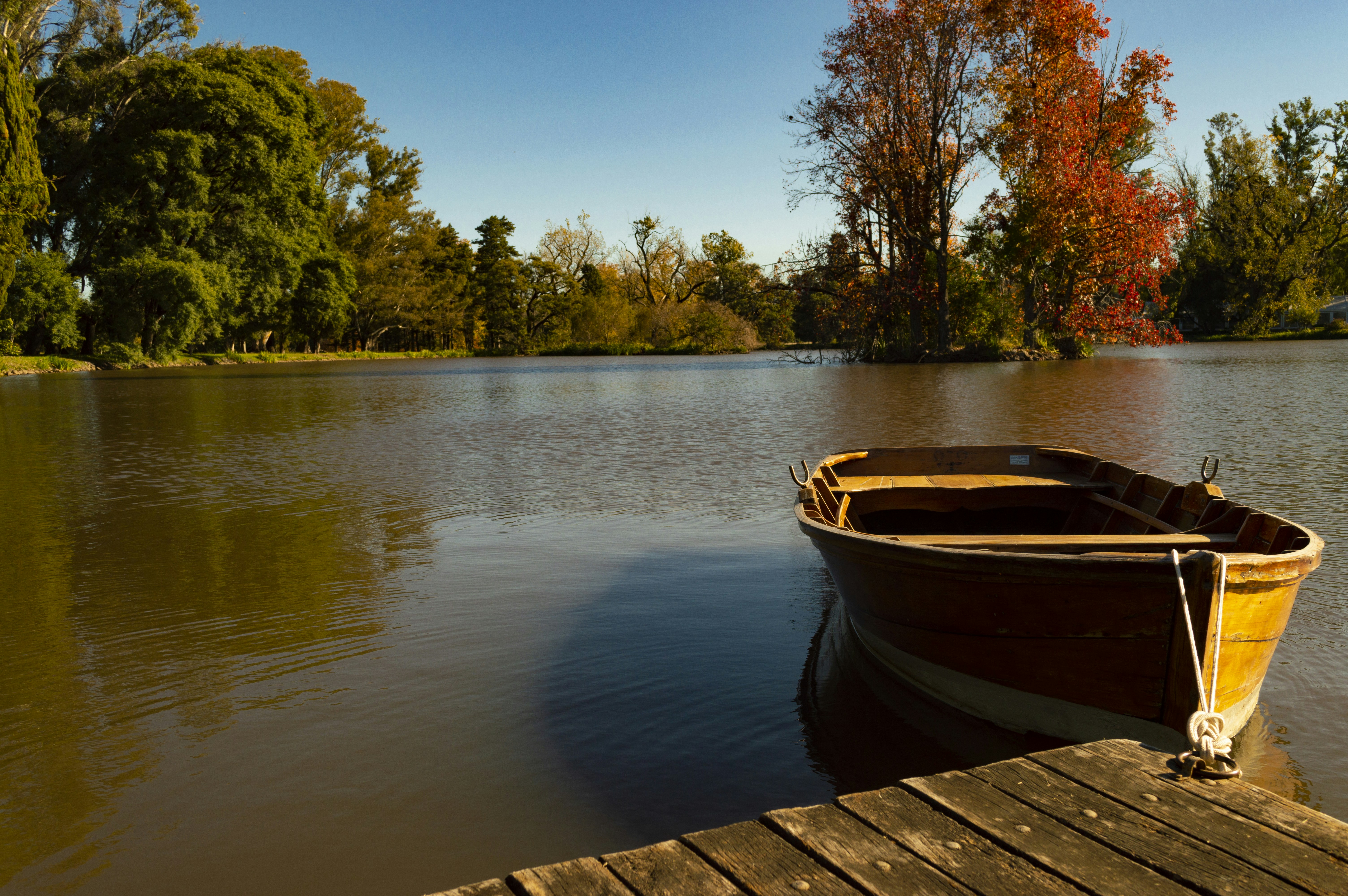 Photo by ornemeolans