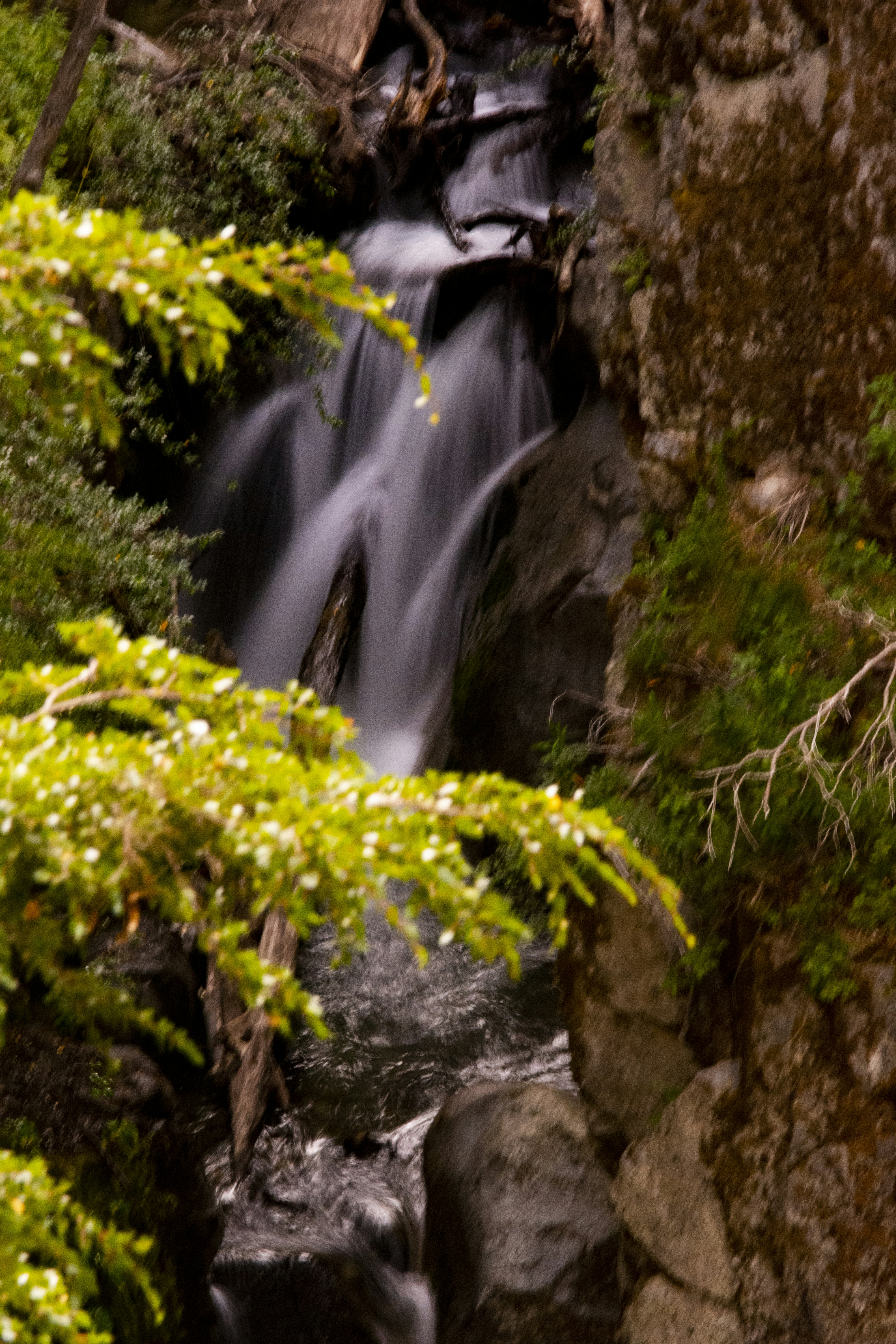 Photo by ornemeolans