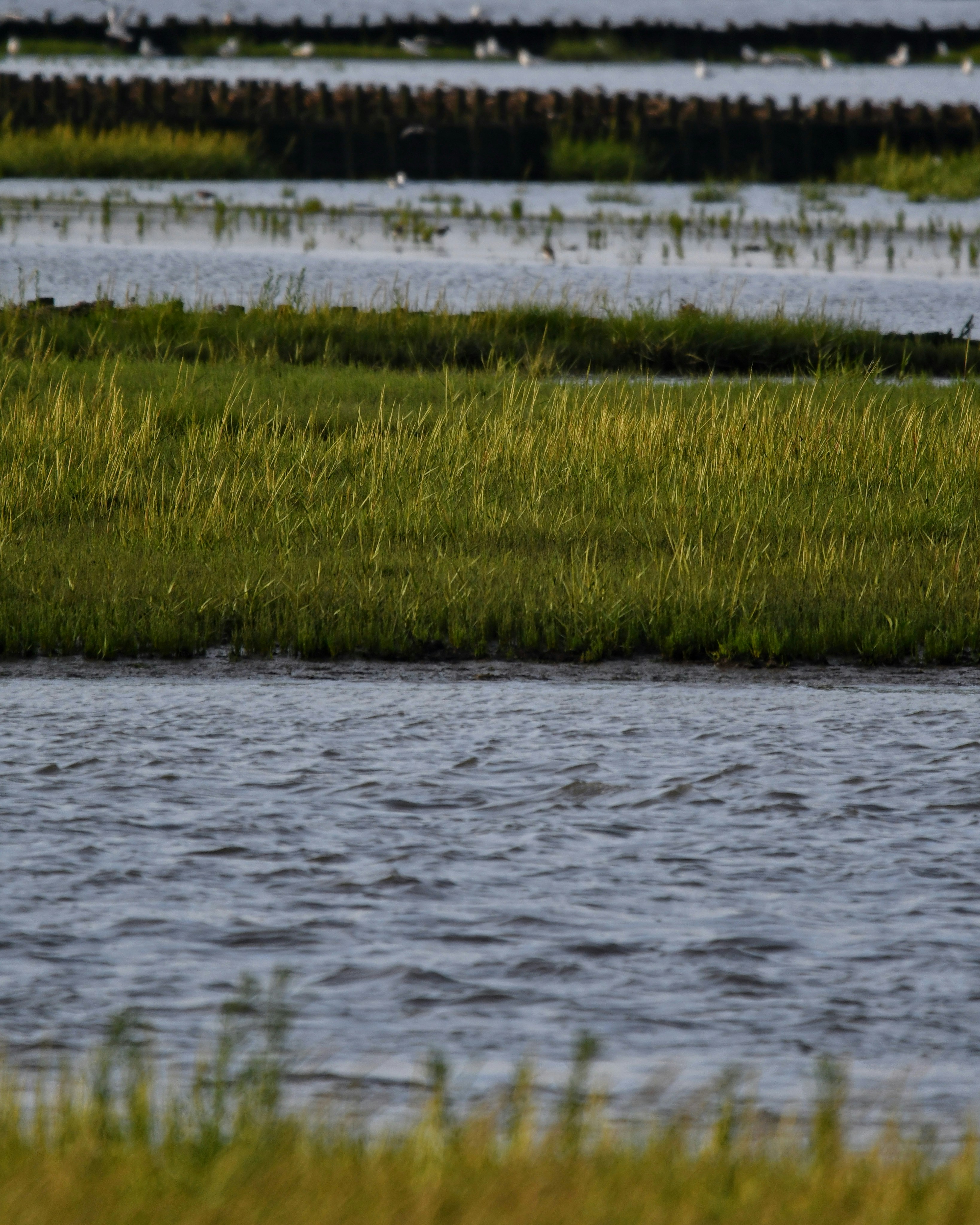 Photo by pedrino5_official