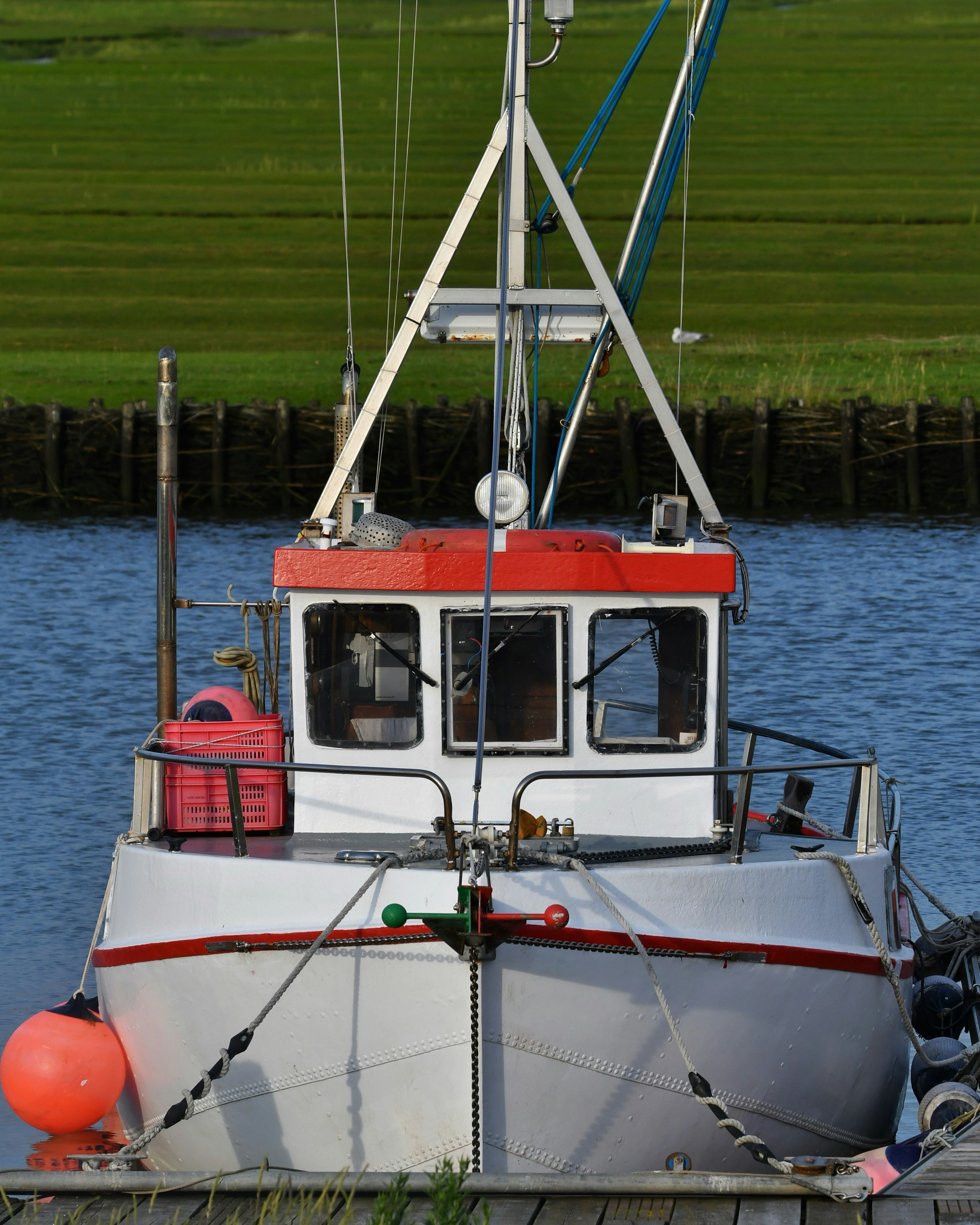 Photo by pedrino5_official