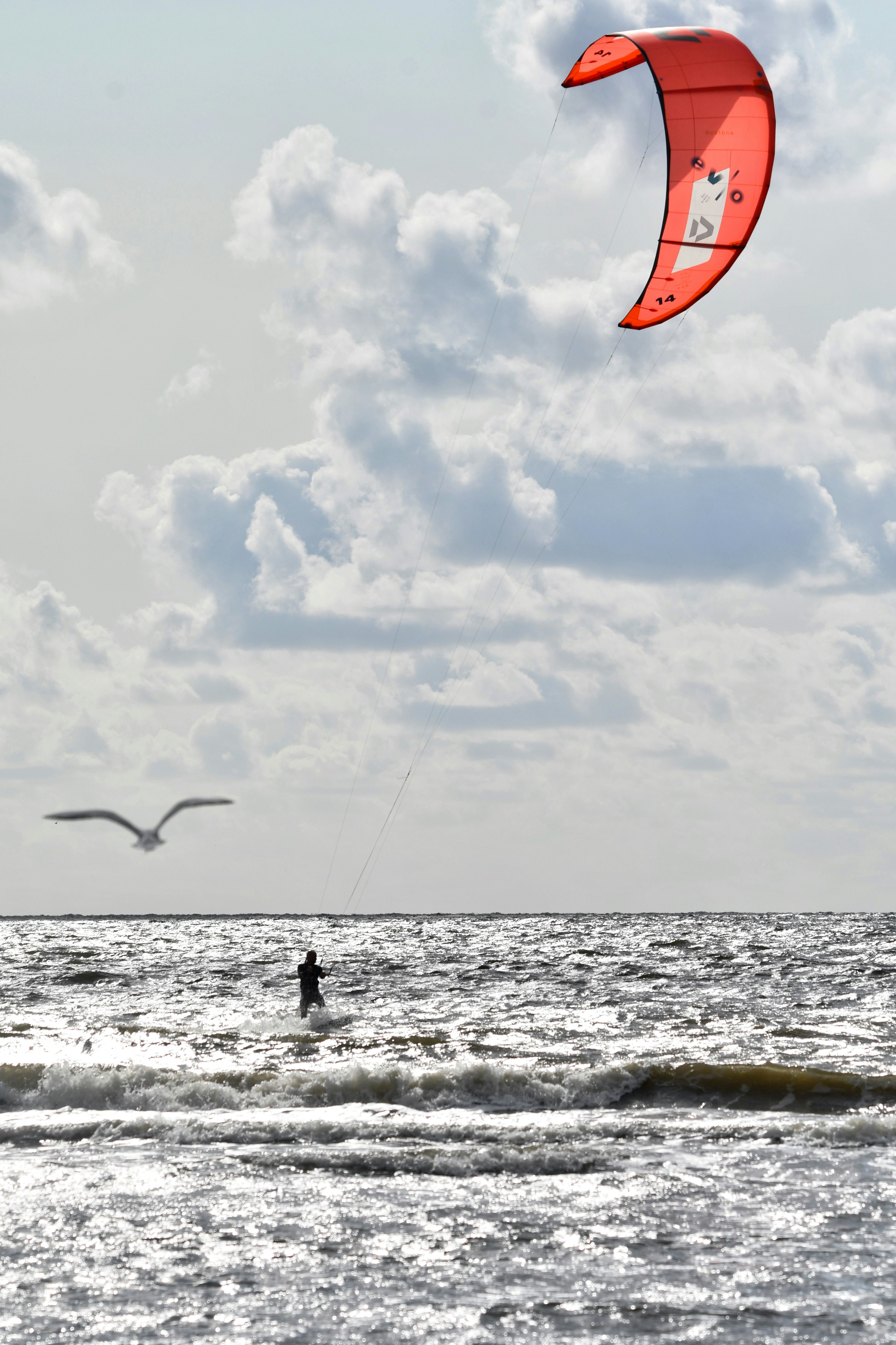 Photo by pedrino5_official