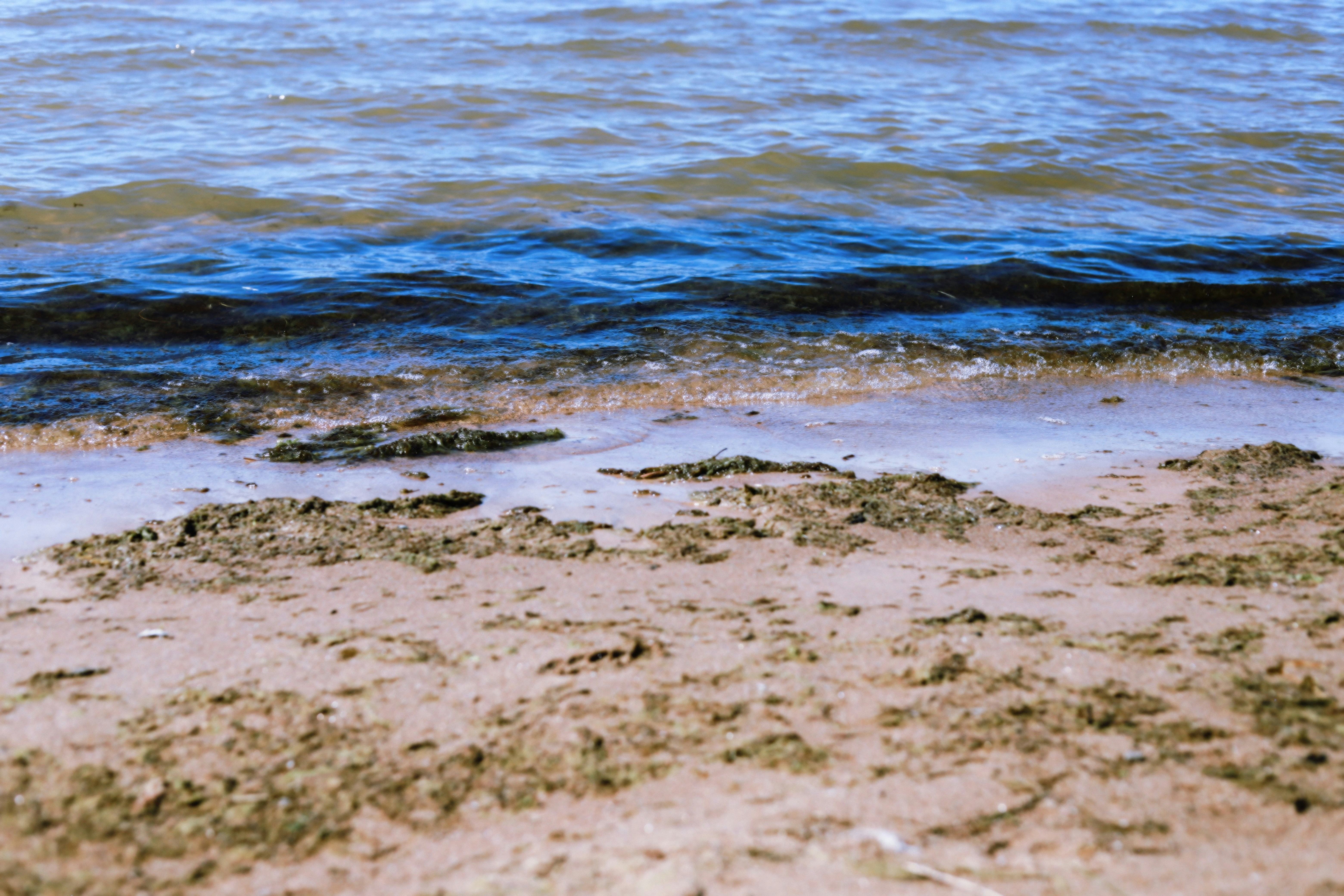 Gesundheit an der Ostsee – Warum Meeresklima und Naturheilkunde so gut zusammenpassen