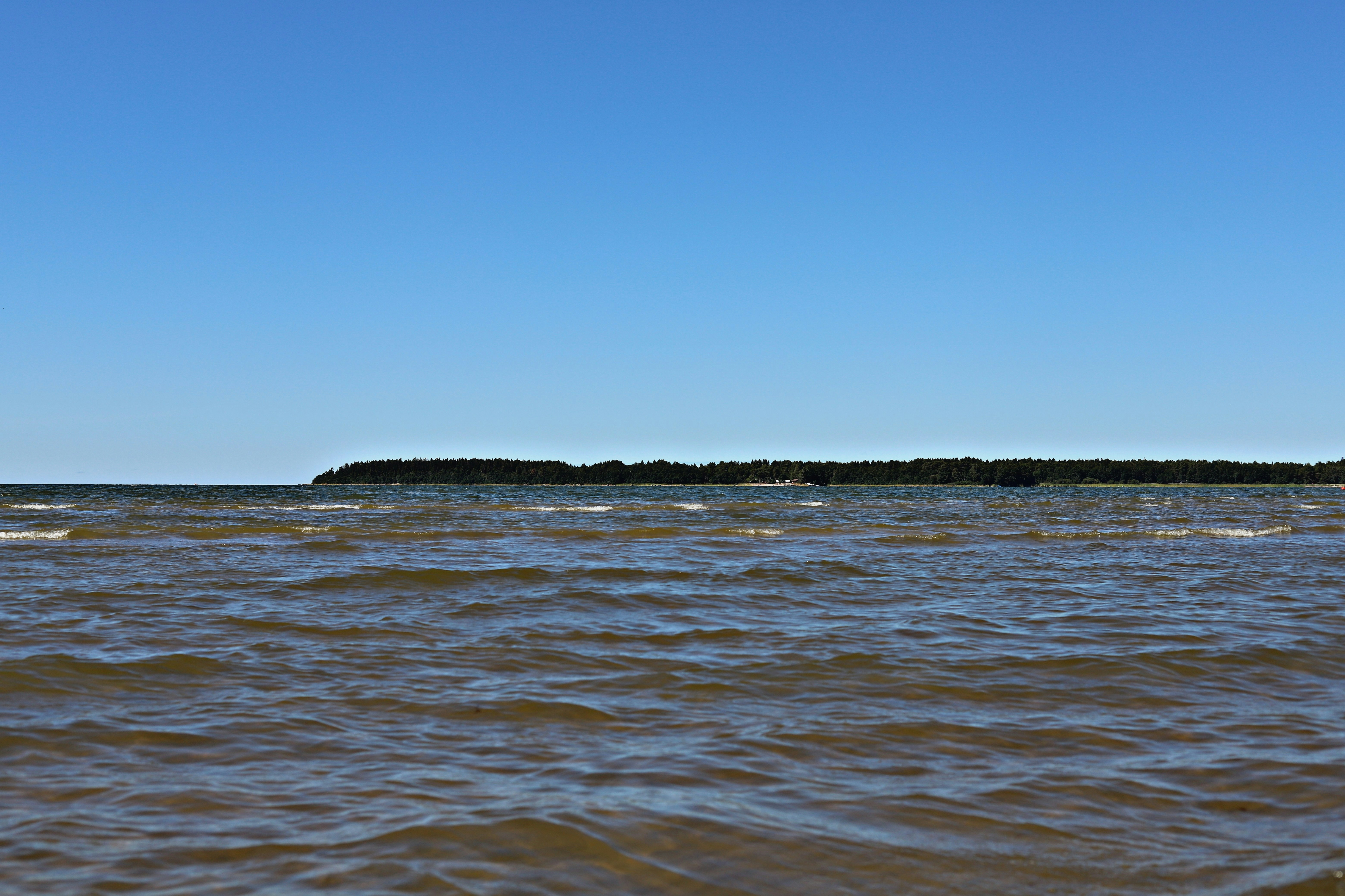 Photo by white_on_white