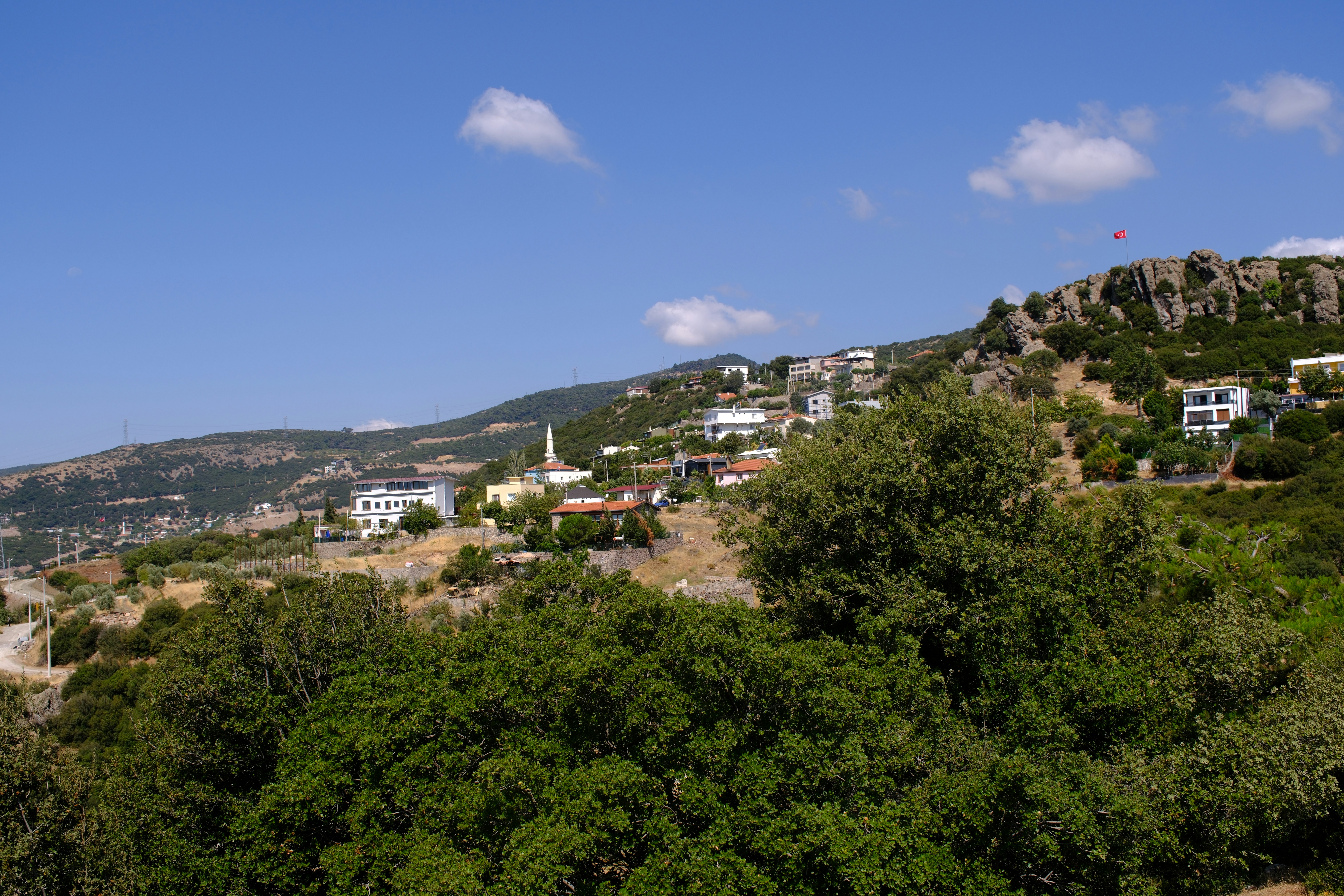 A view of a town on a hill with trees