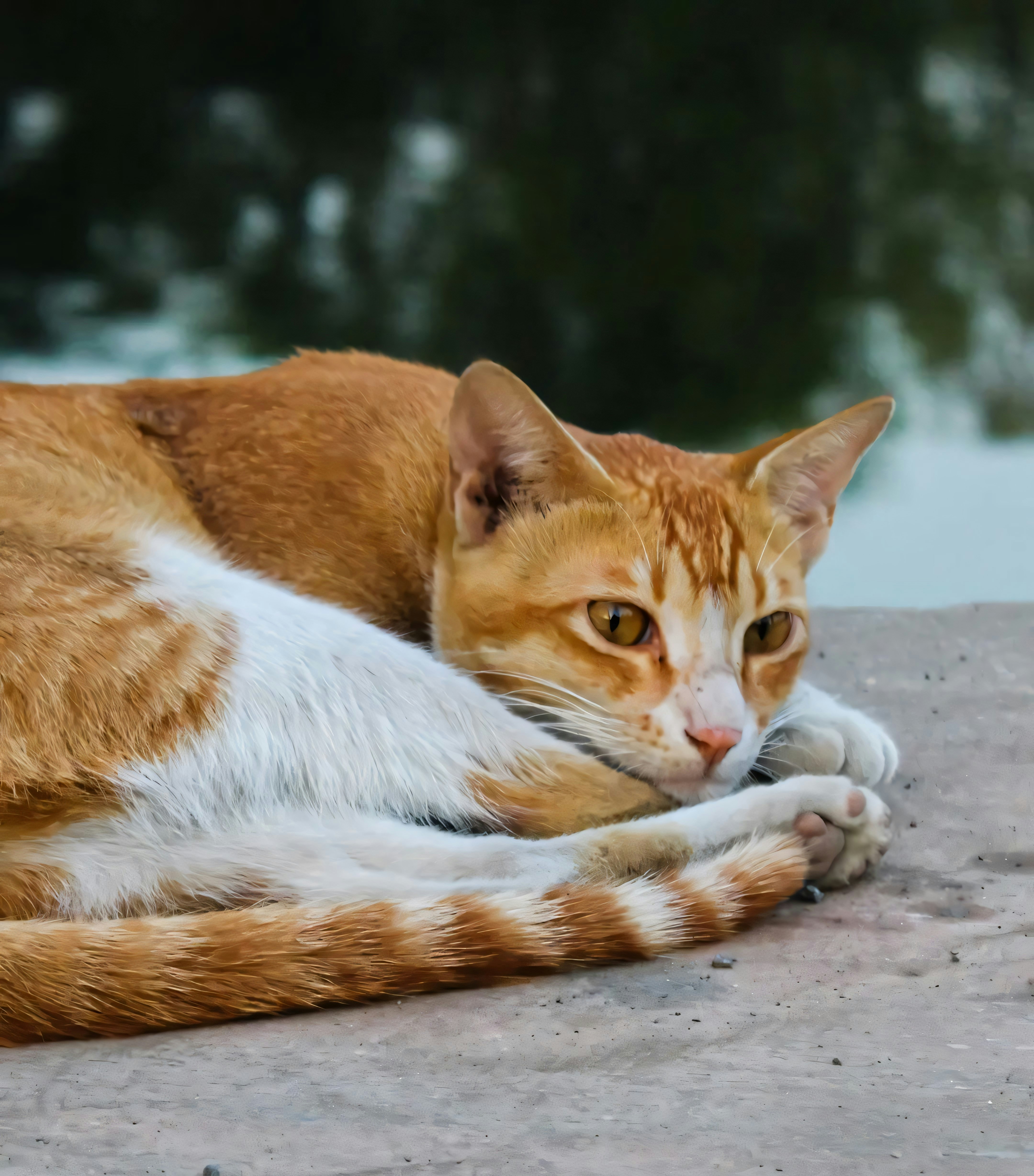 Photo by prasad_s_photography