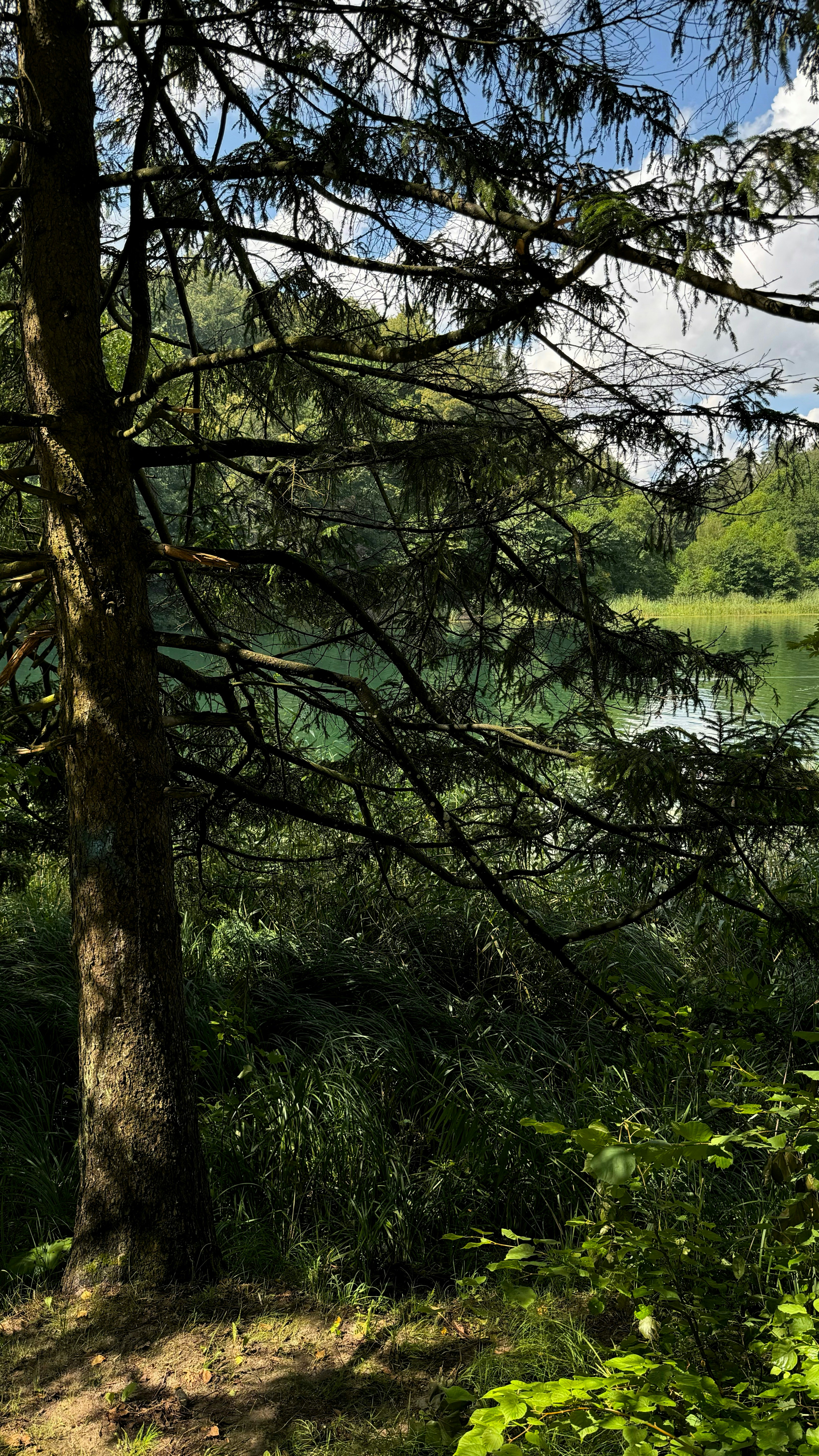 Photo by glebremniov