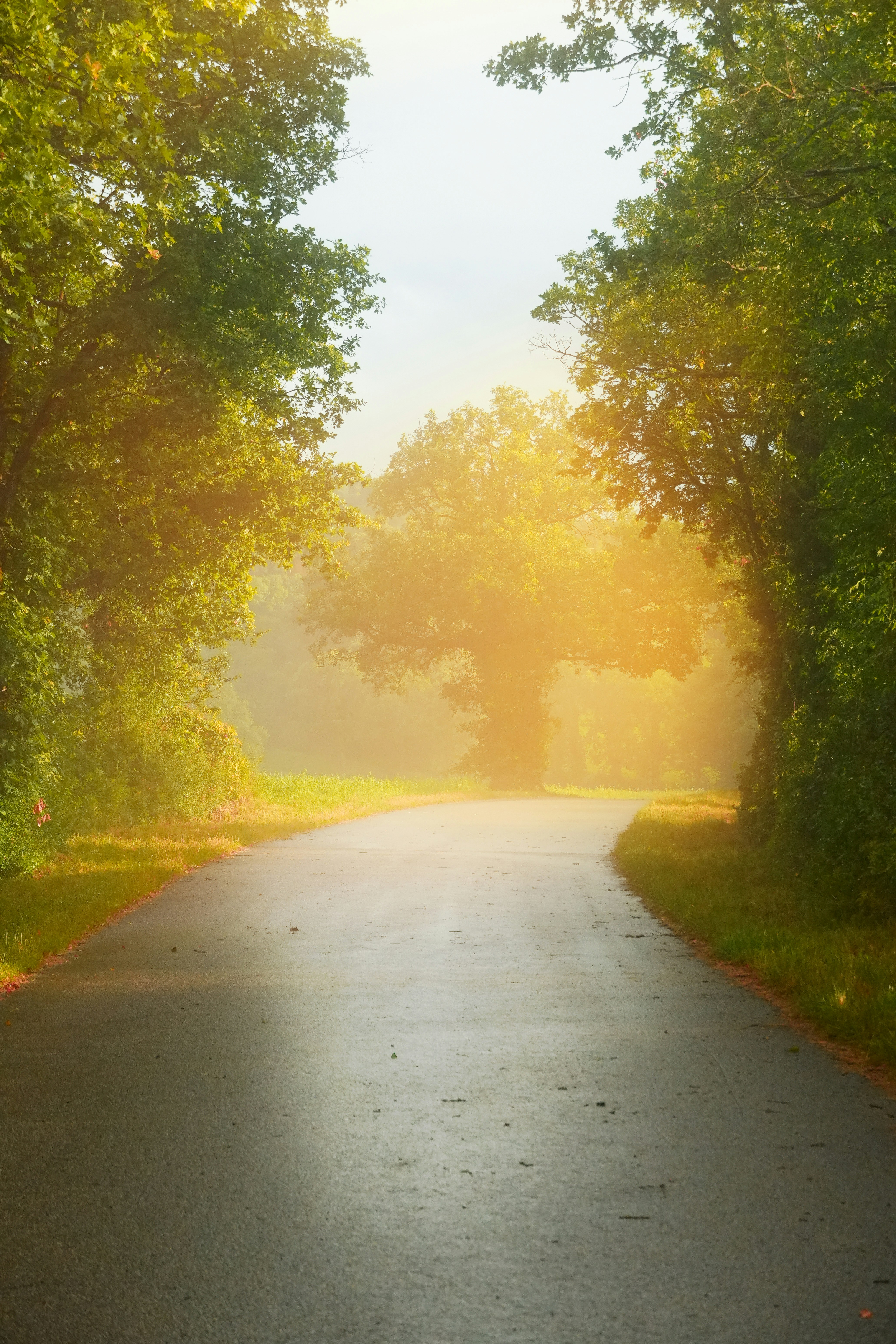 Photo by godisopensource