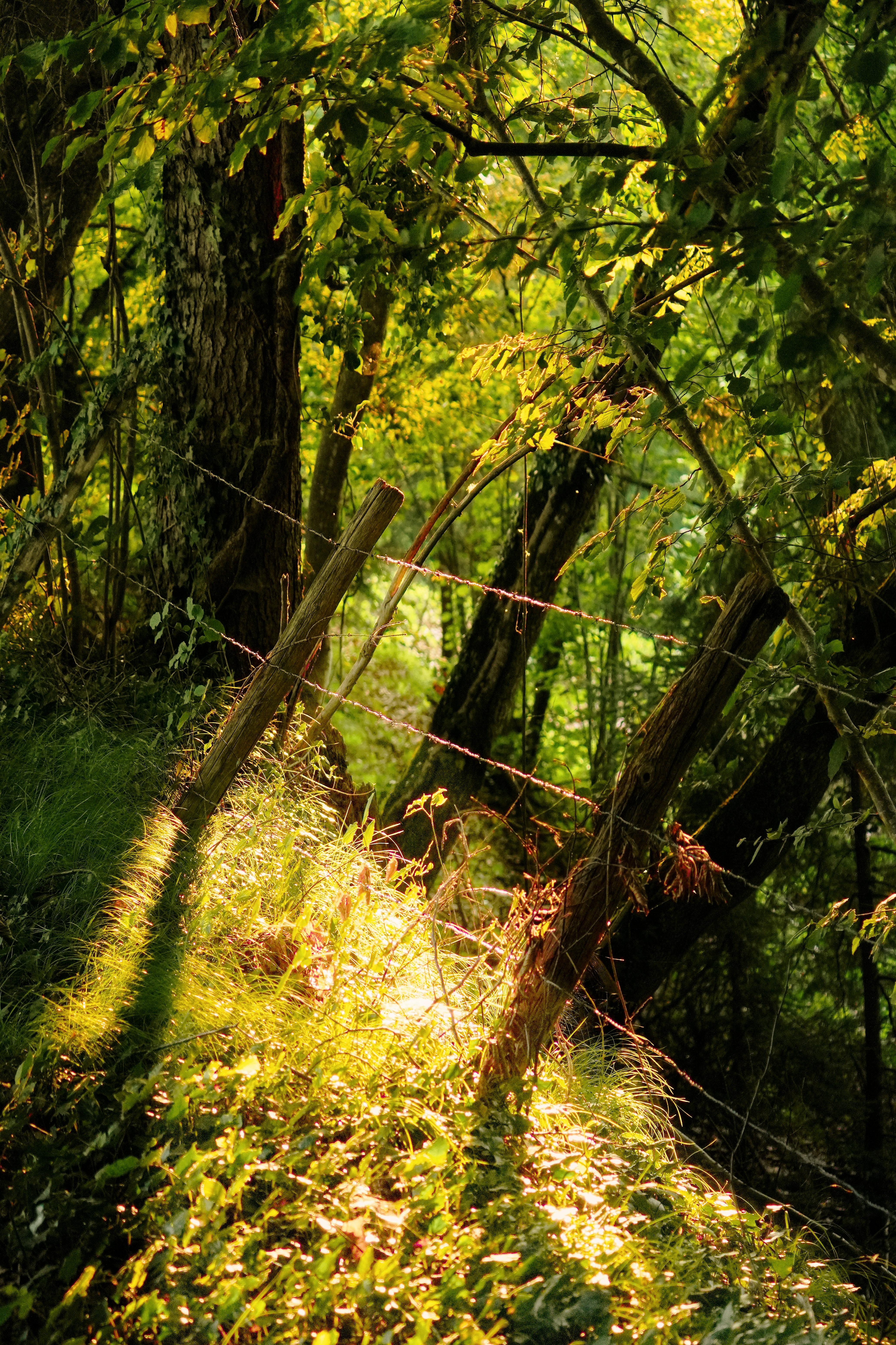 Photo by godisopensource