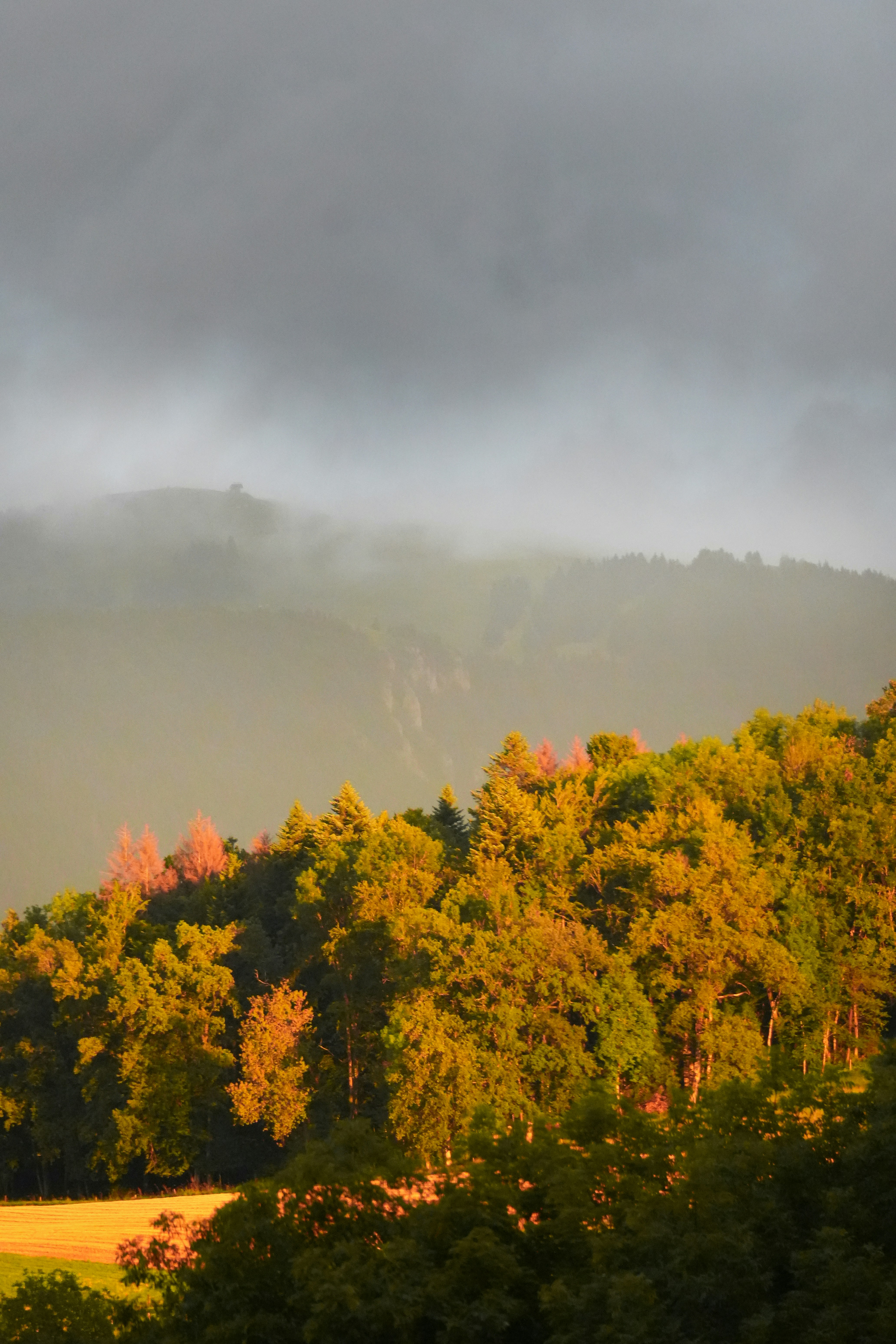 Photo by godisopensource