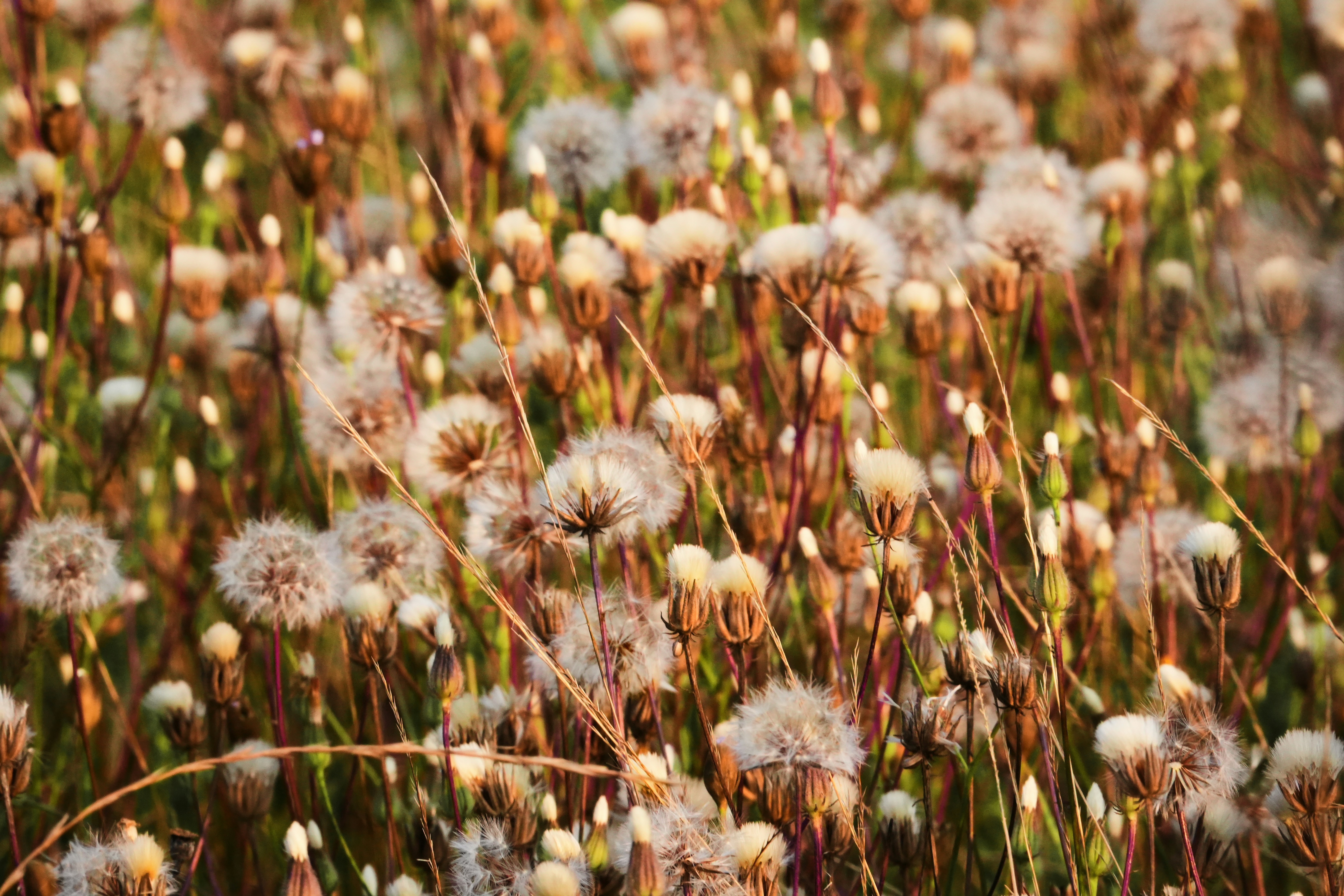 Photo by godisopensource