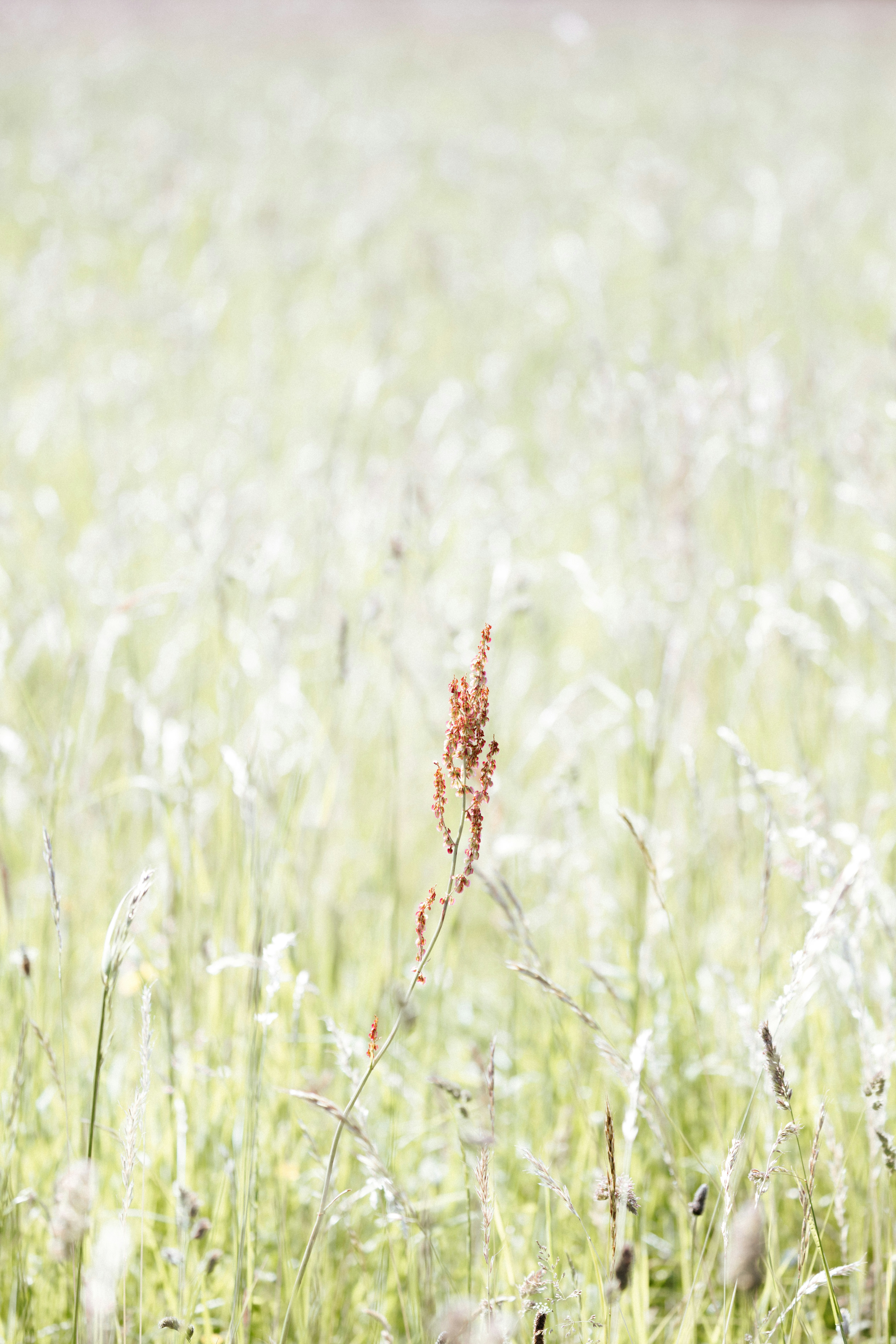 Photo by anniespratt