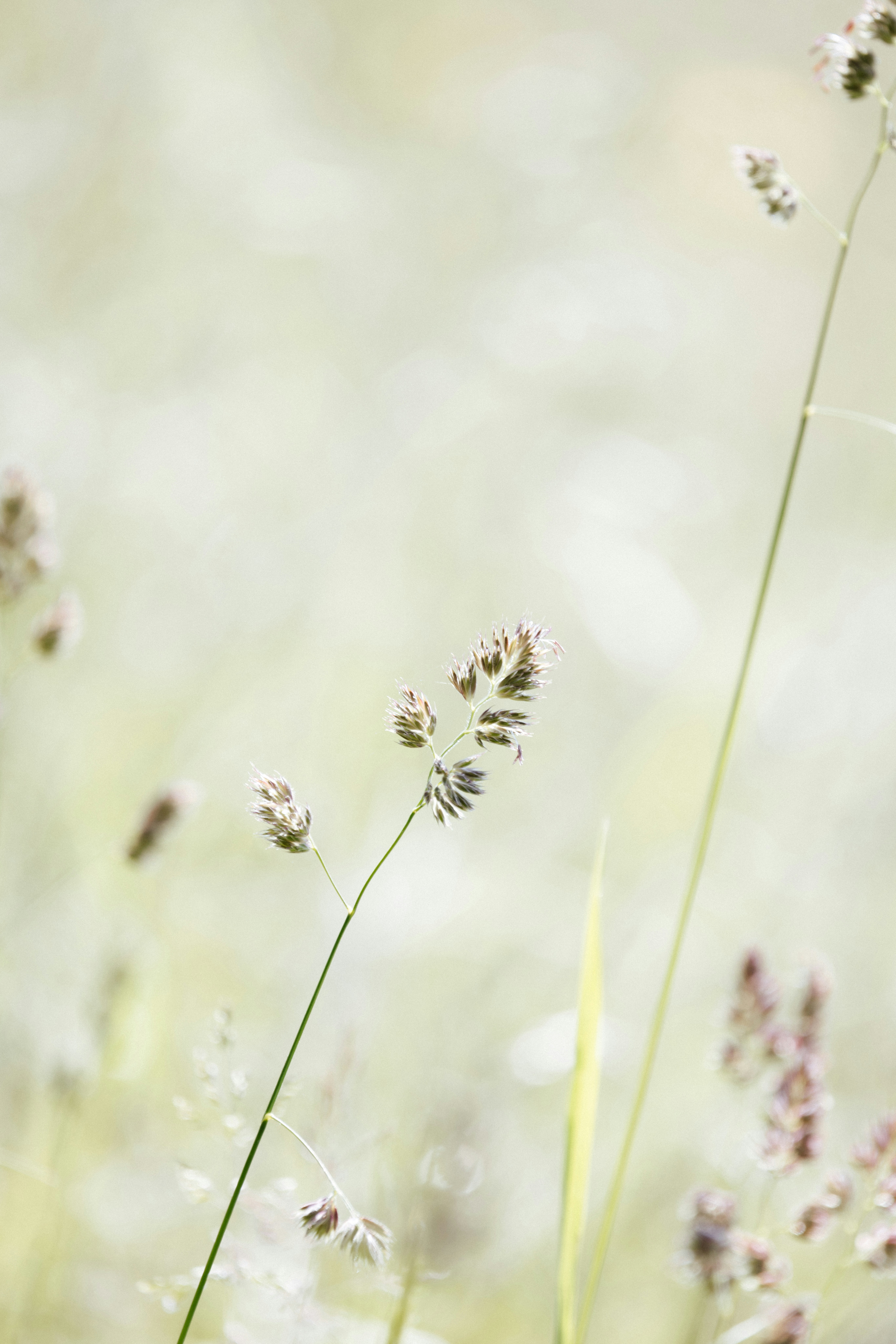 Photo by anniespratt