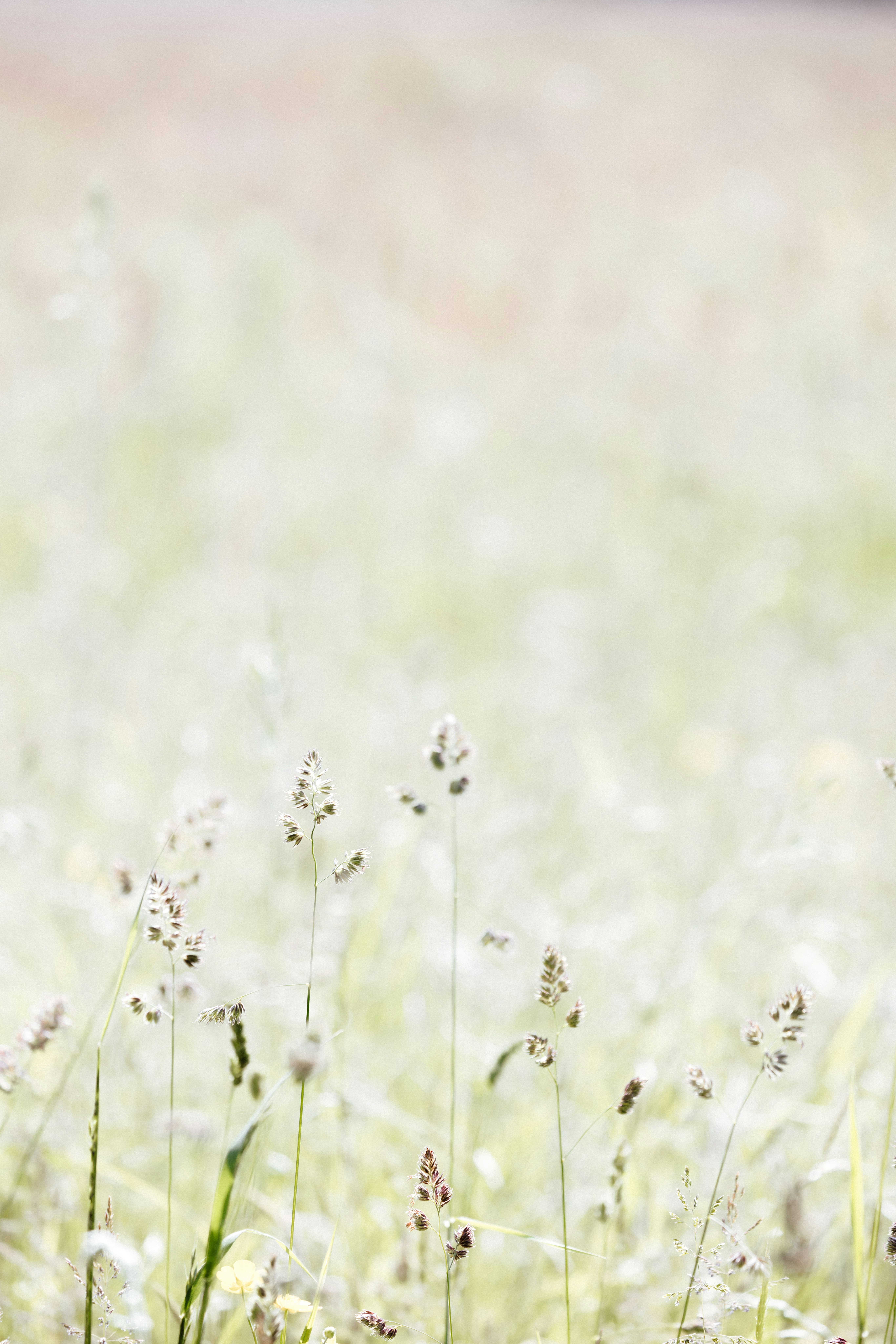 Photo by anniespratt