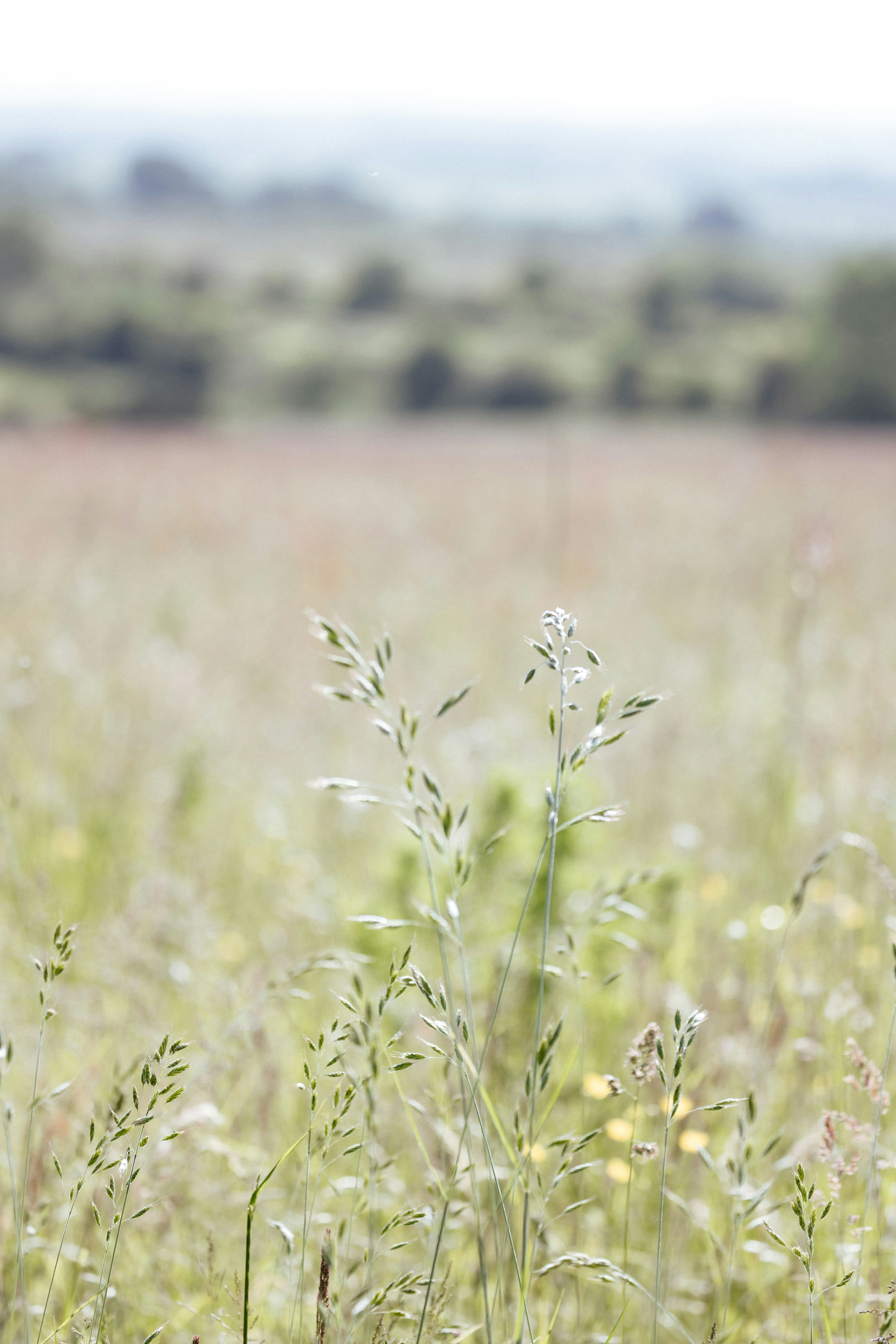 Photo by anniespratt