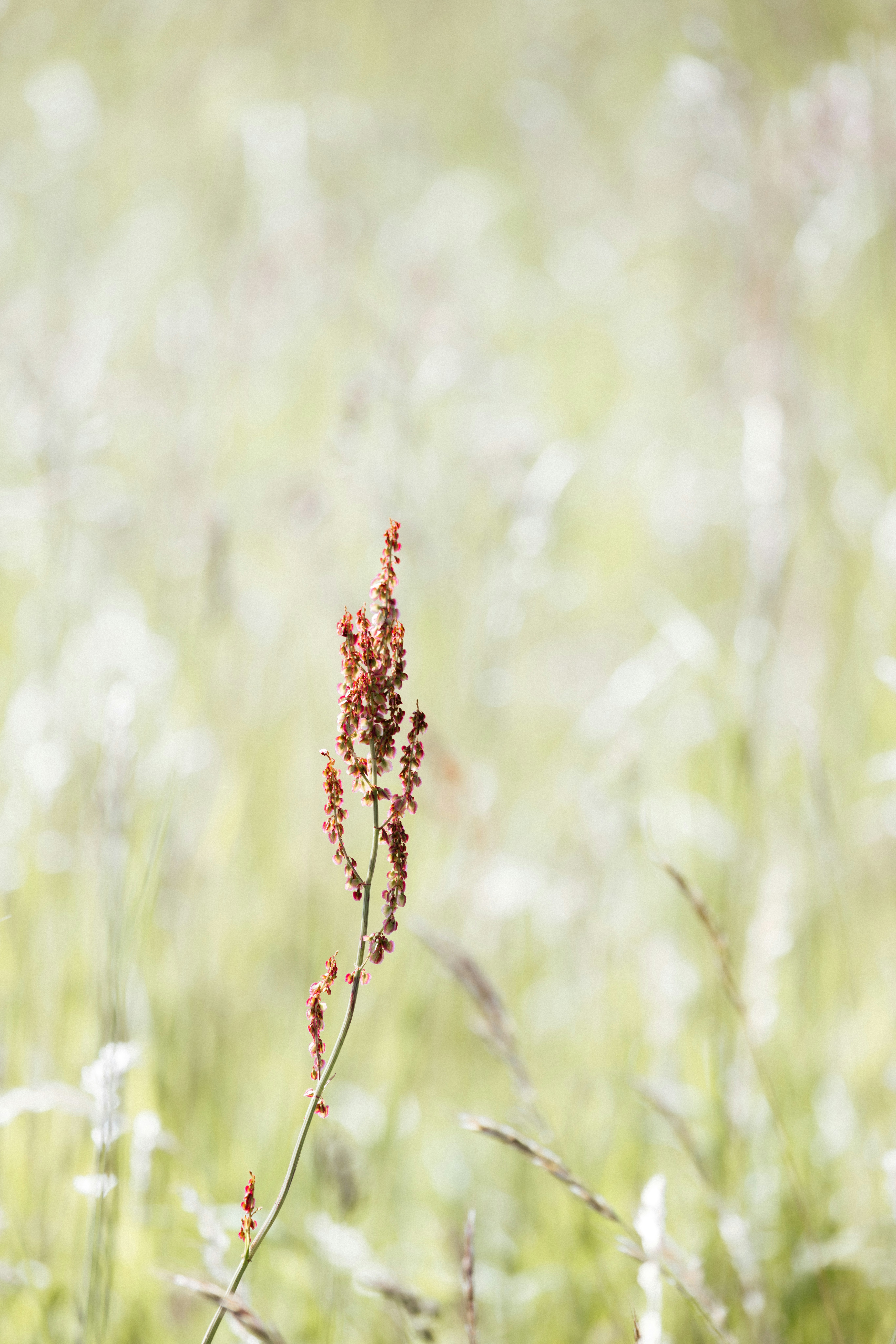 Photo by anniespratt