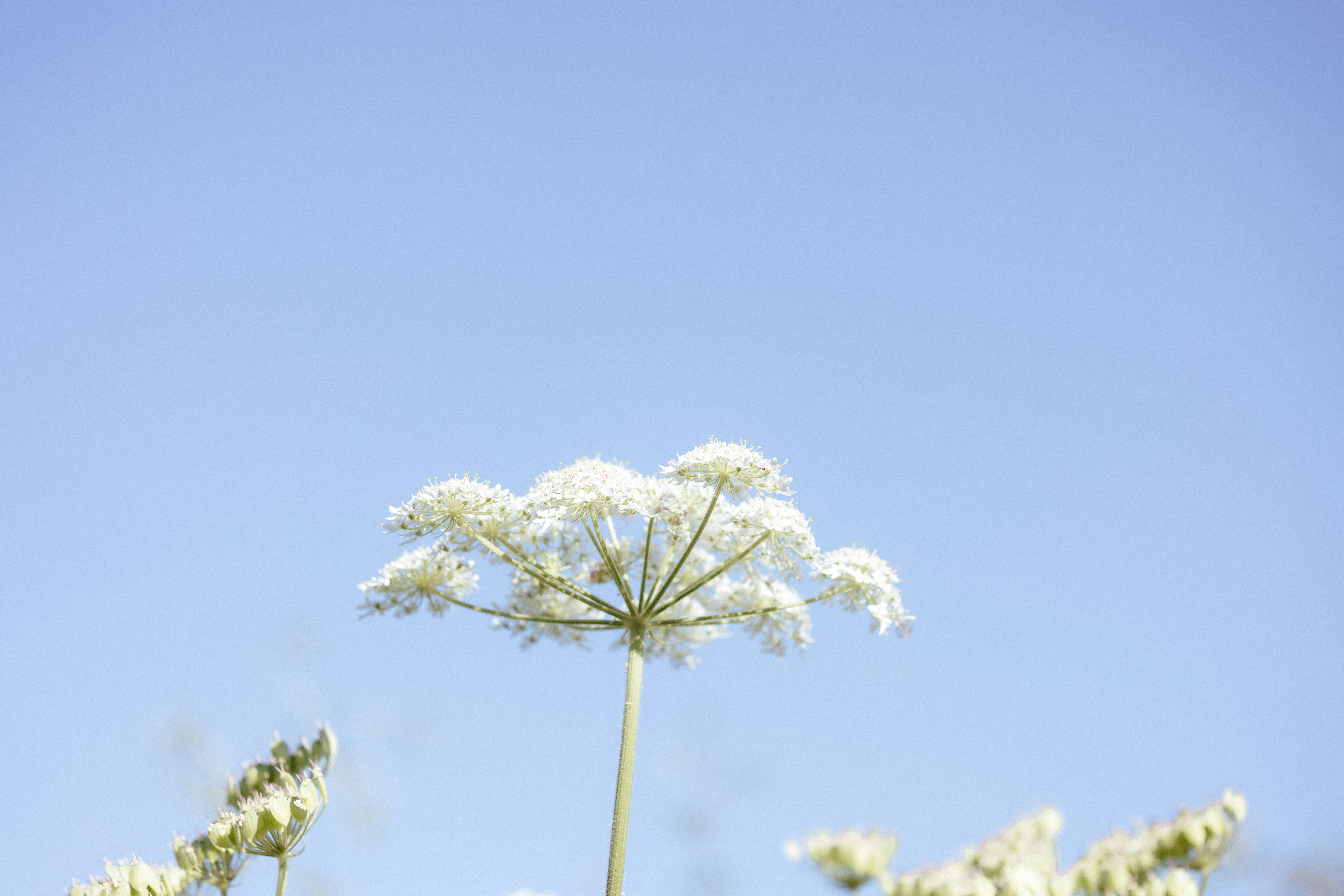 Photo by anniespratt