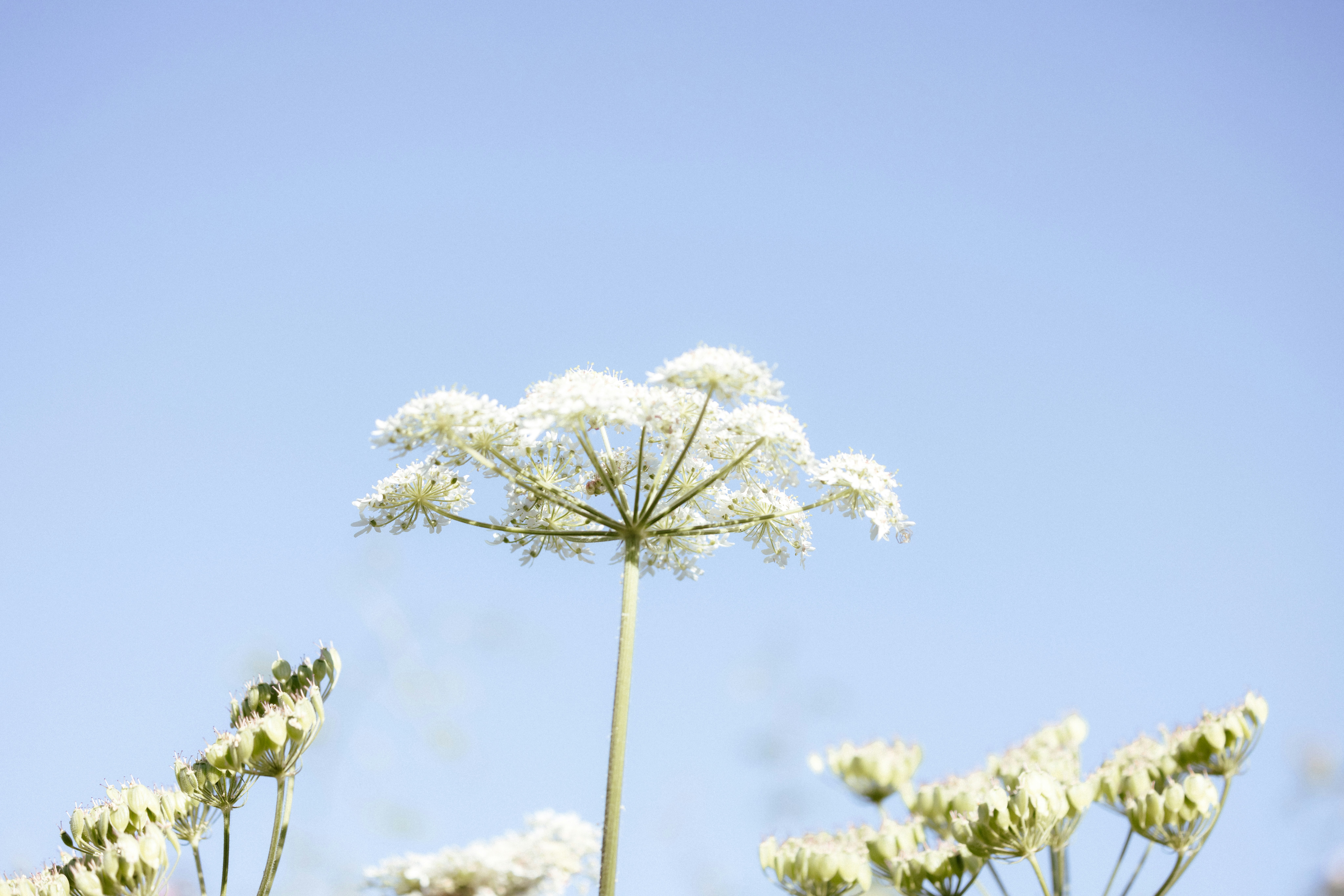 Photo by anniespratt