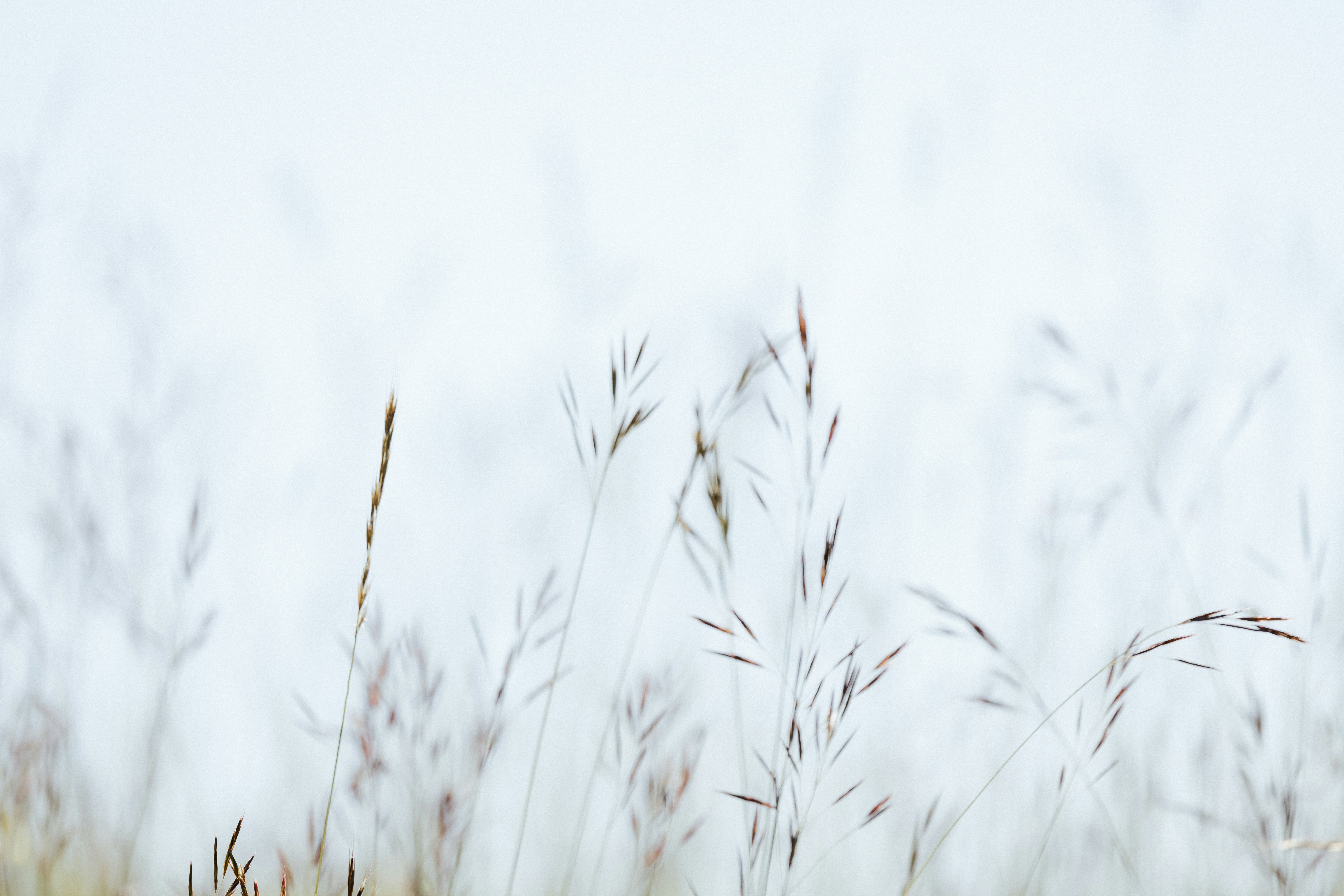 Photo by anniespratt