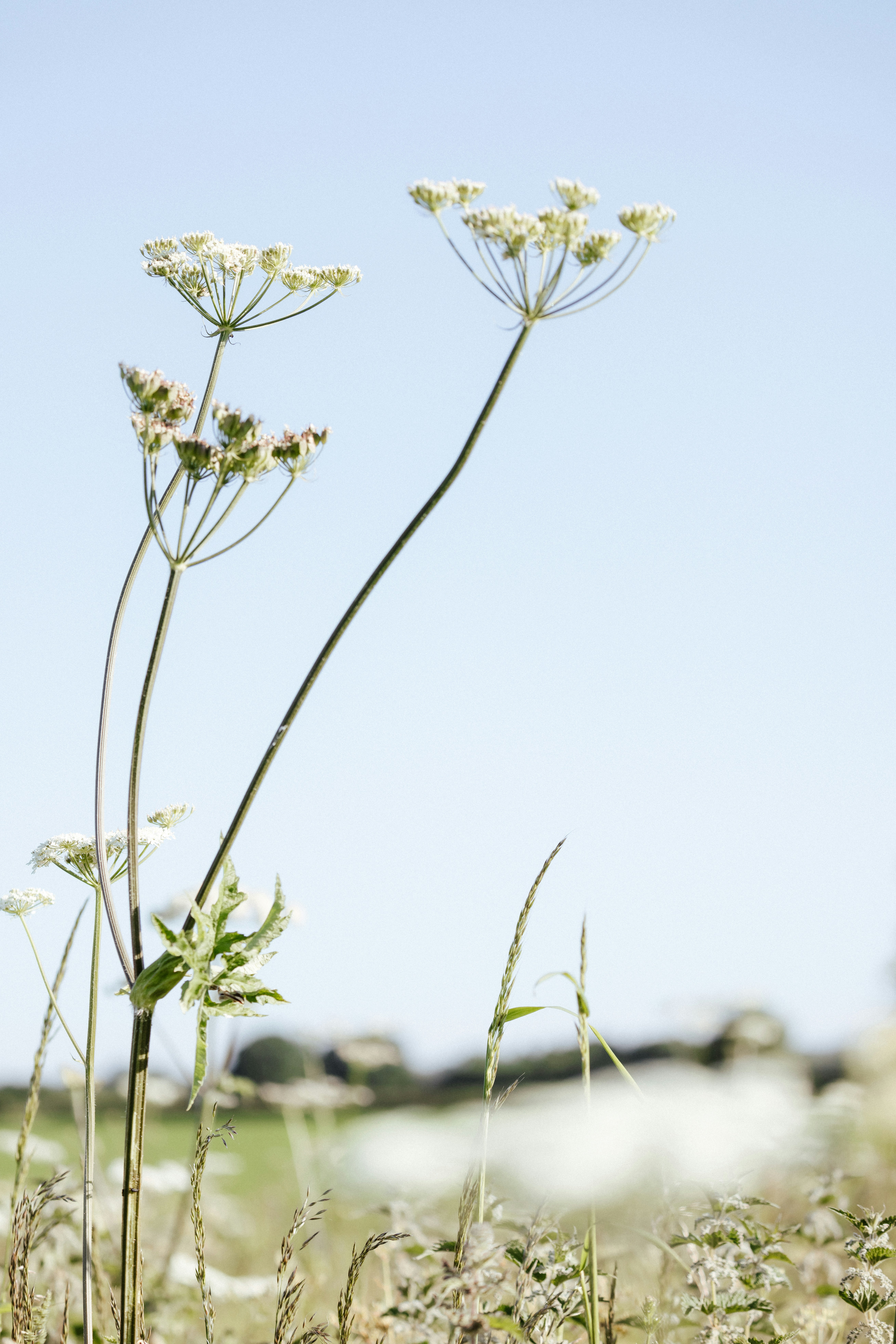 Photo by anniespratt