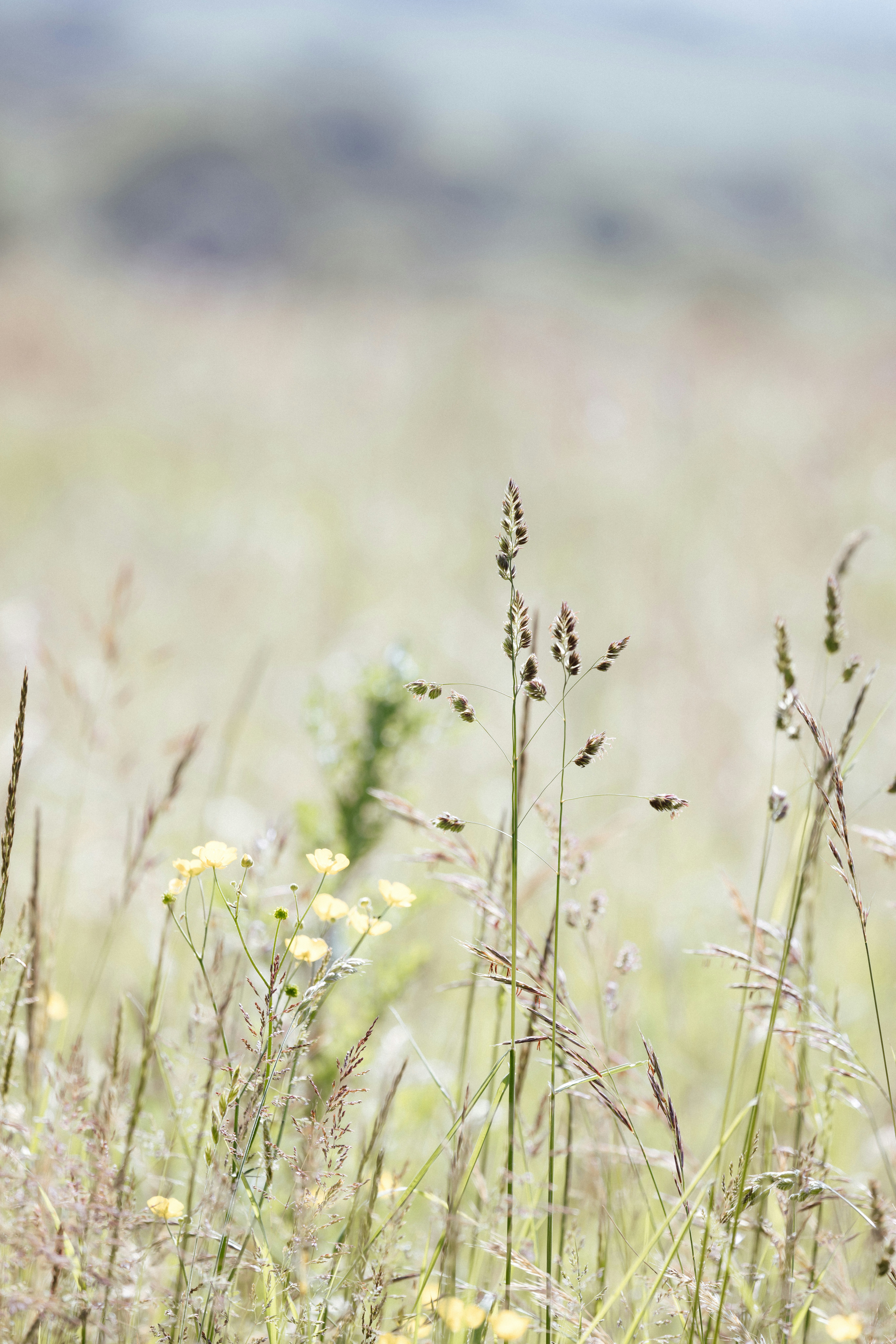 Photo by anniespratt