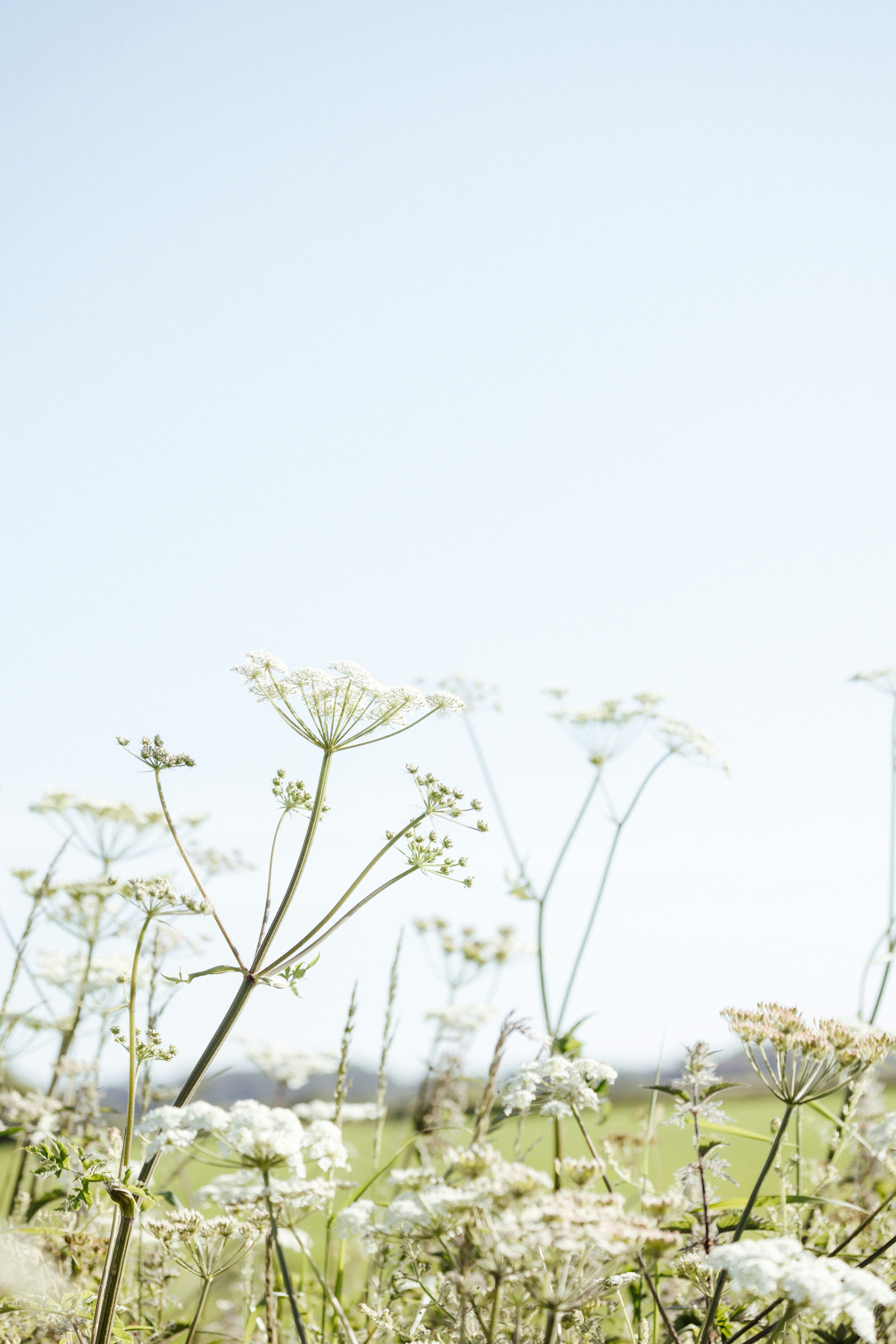 Photo by anniespratt