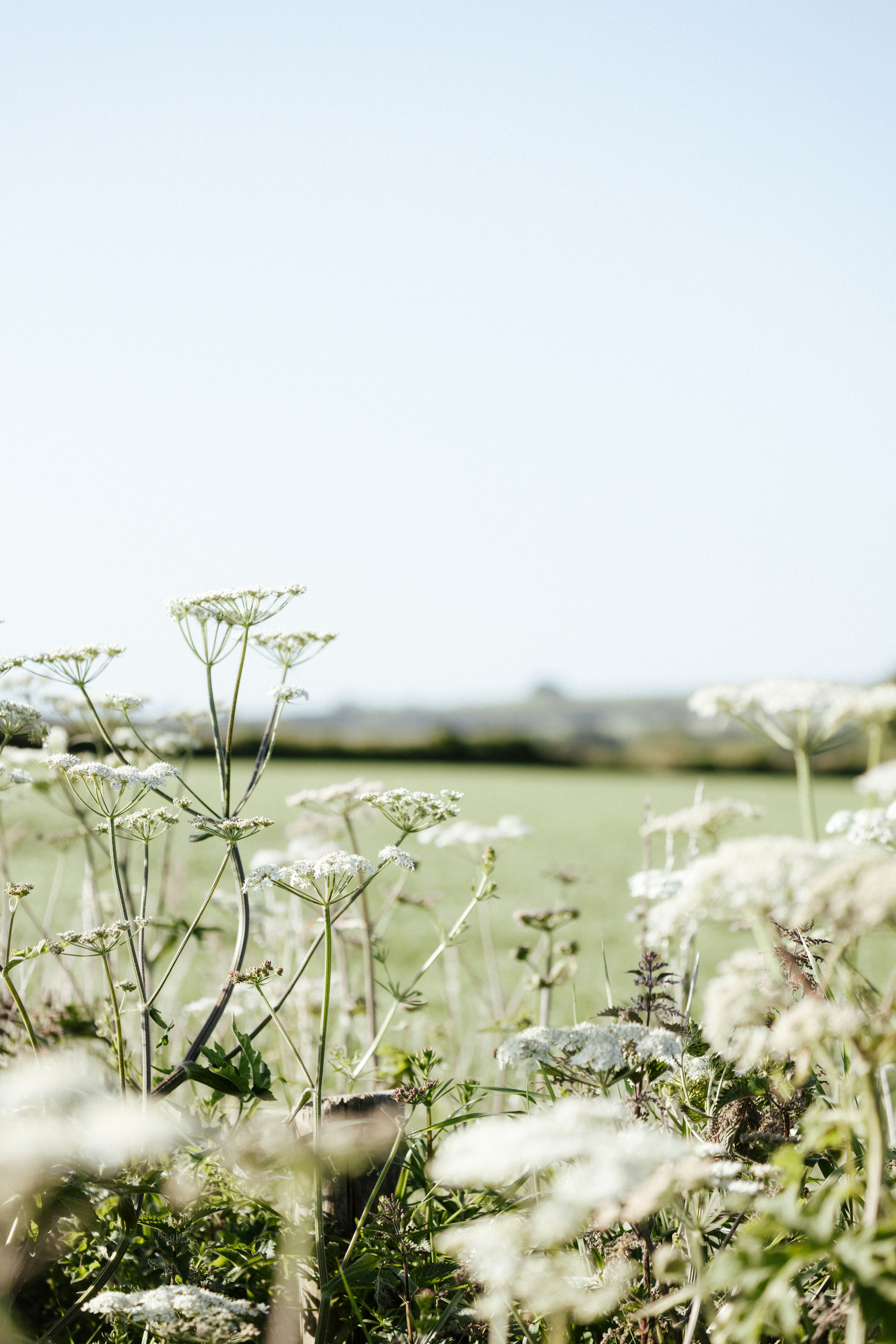 Photo by anniespratt