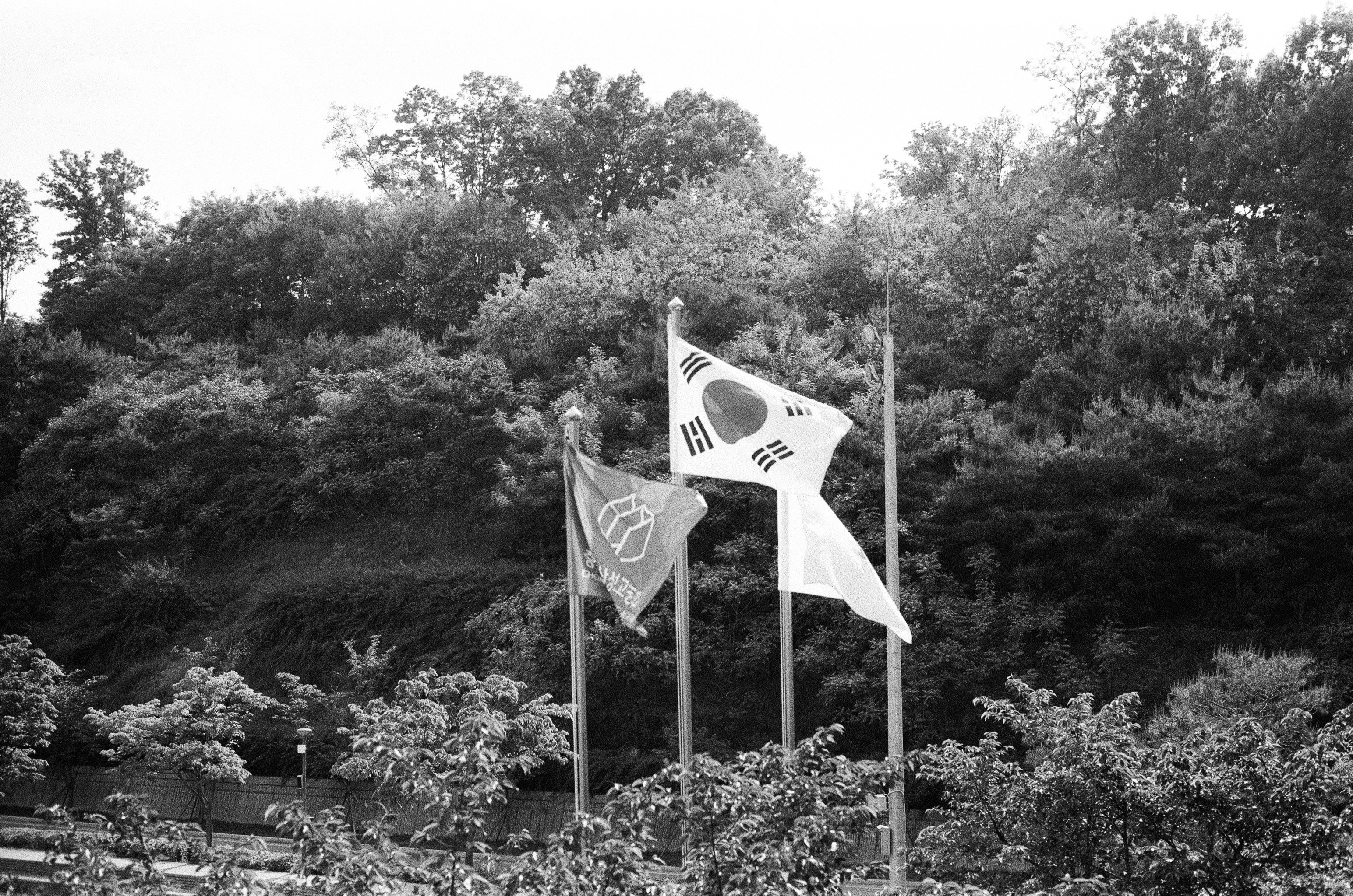 A black and white photo of two flags