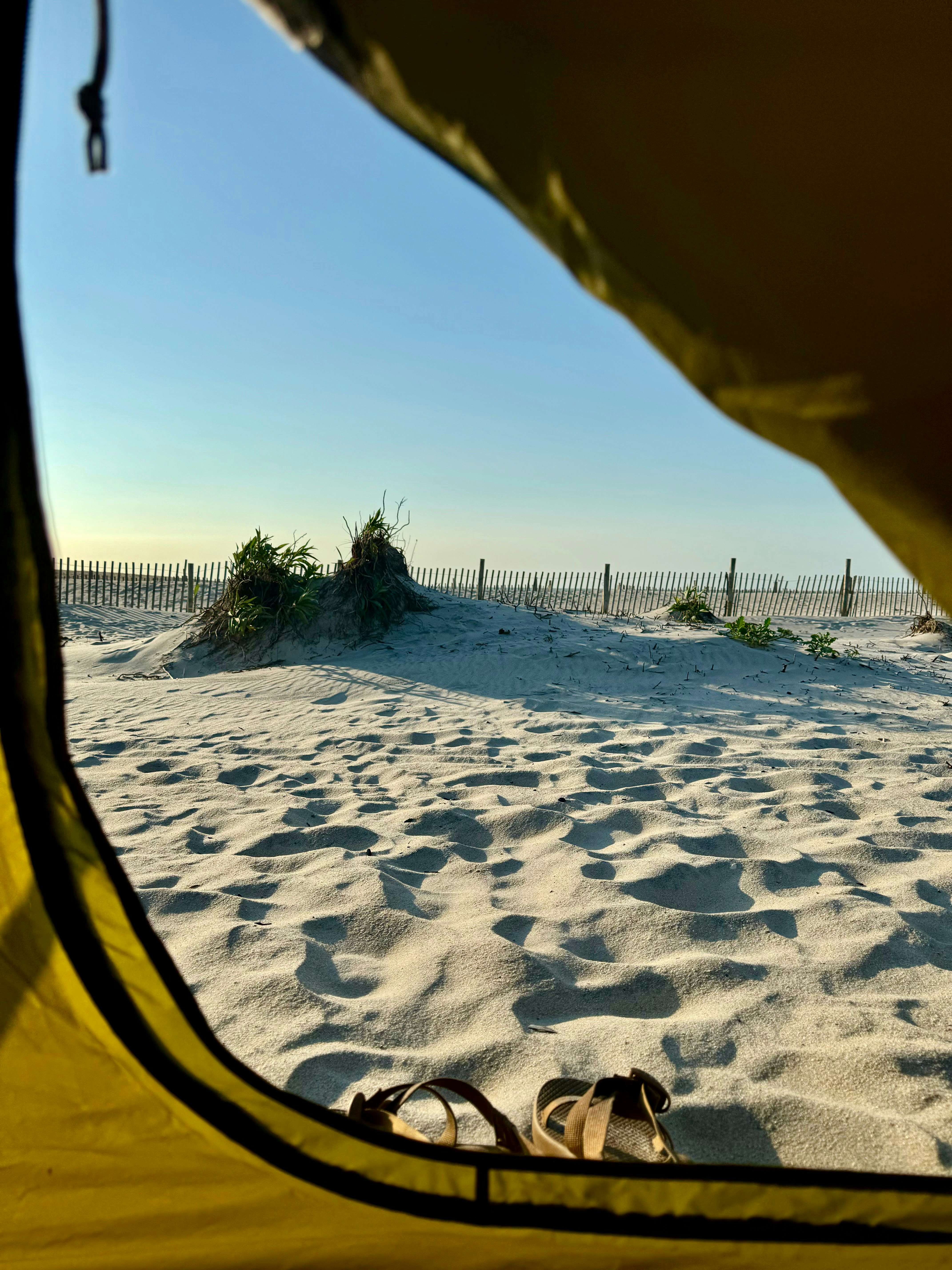 A view from inside a tent of a beach