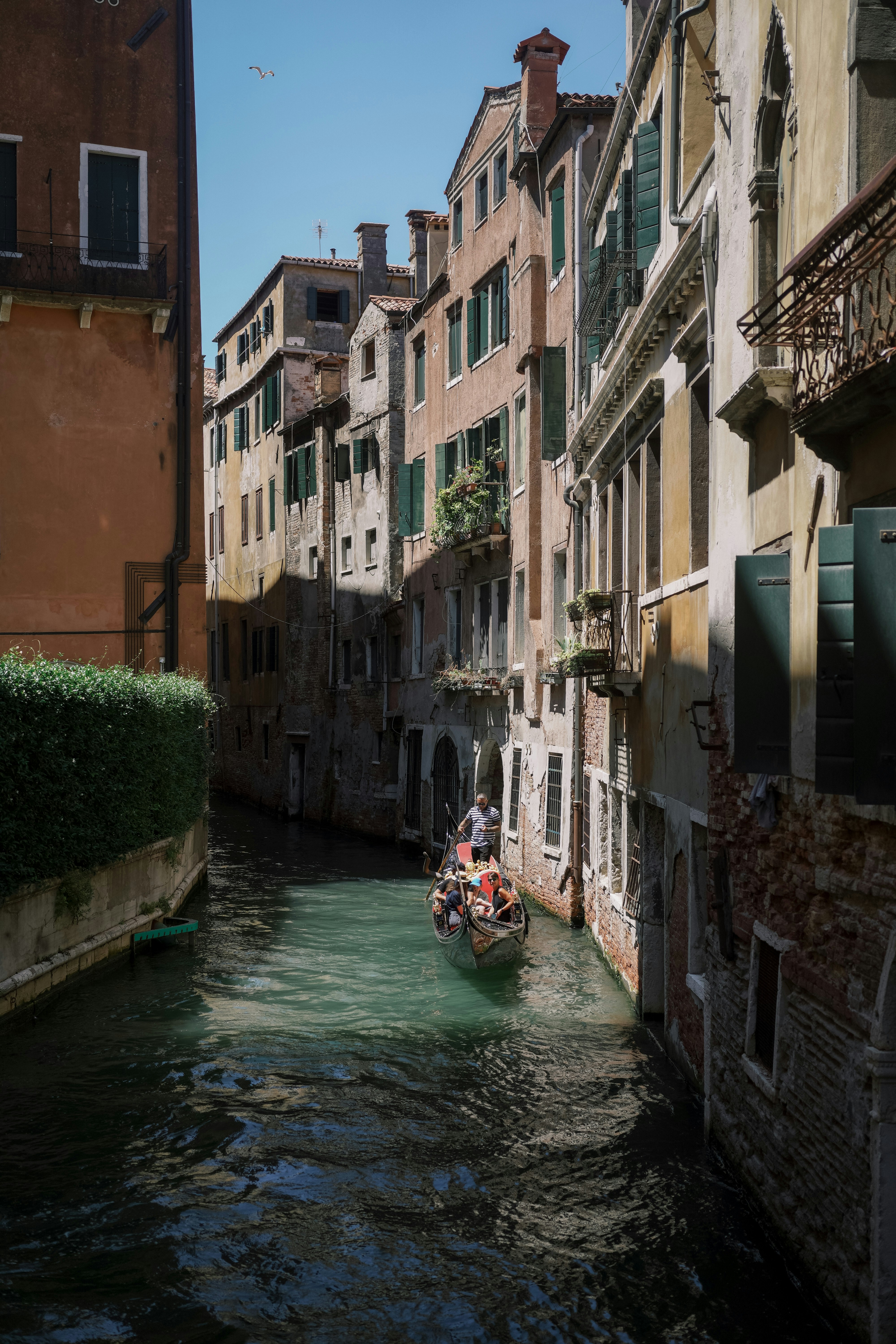 Photo by kateivanova__