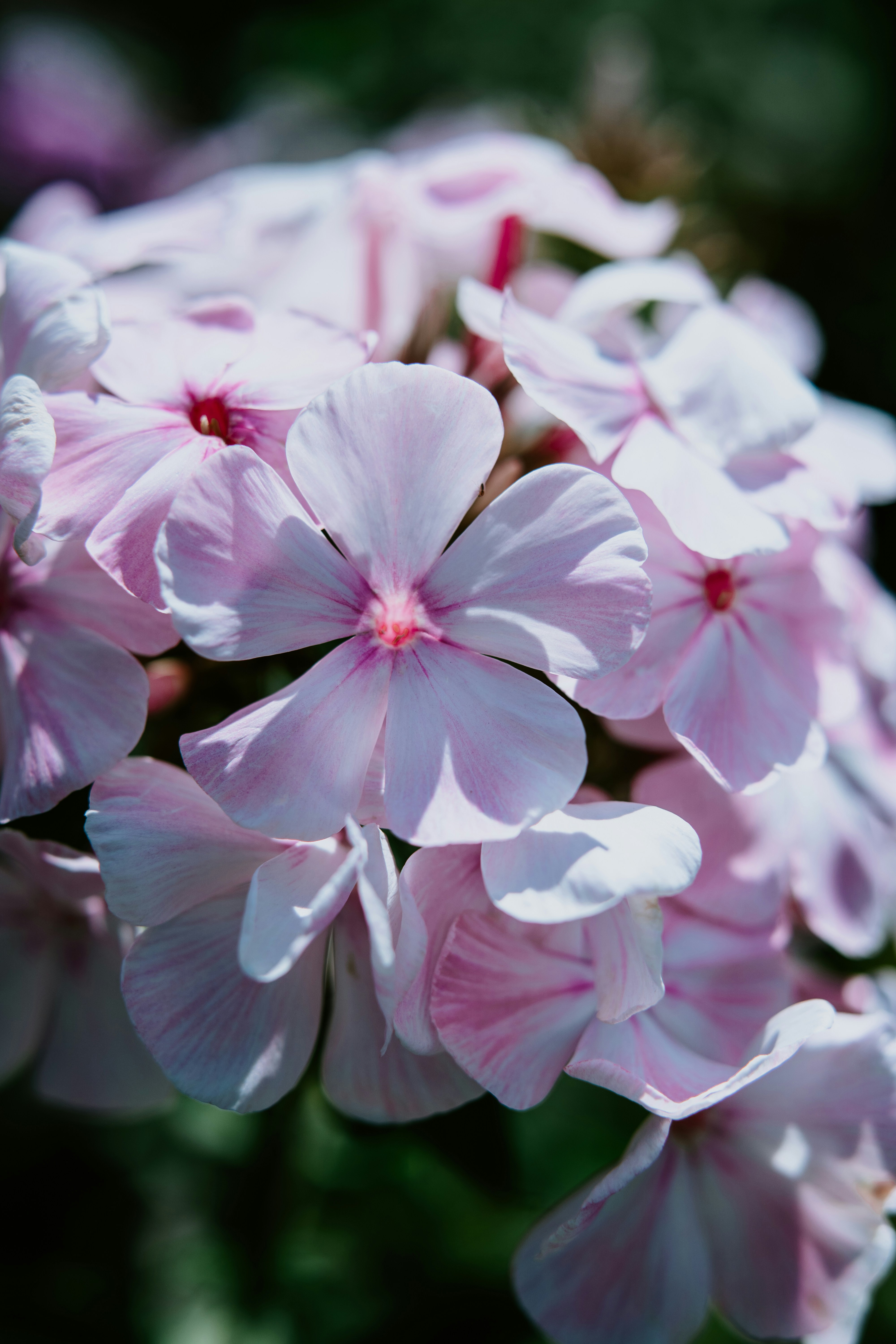 Photo by anamnesis33