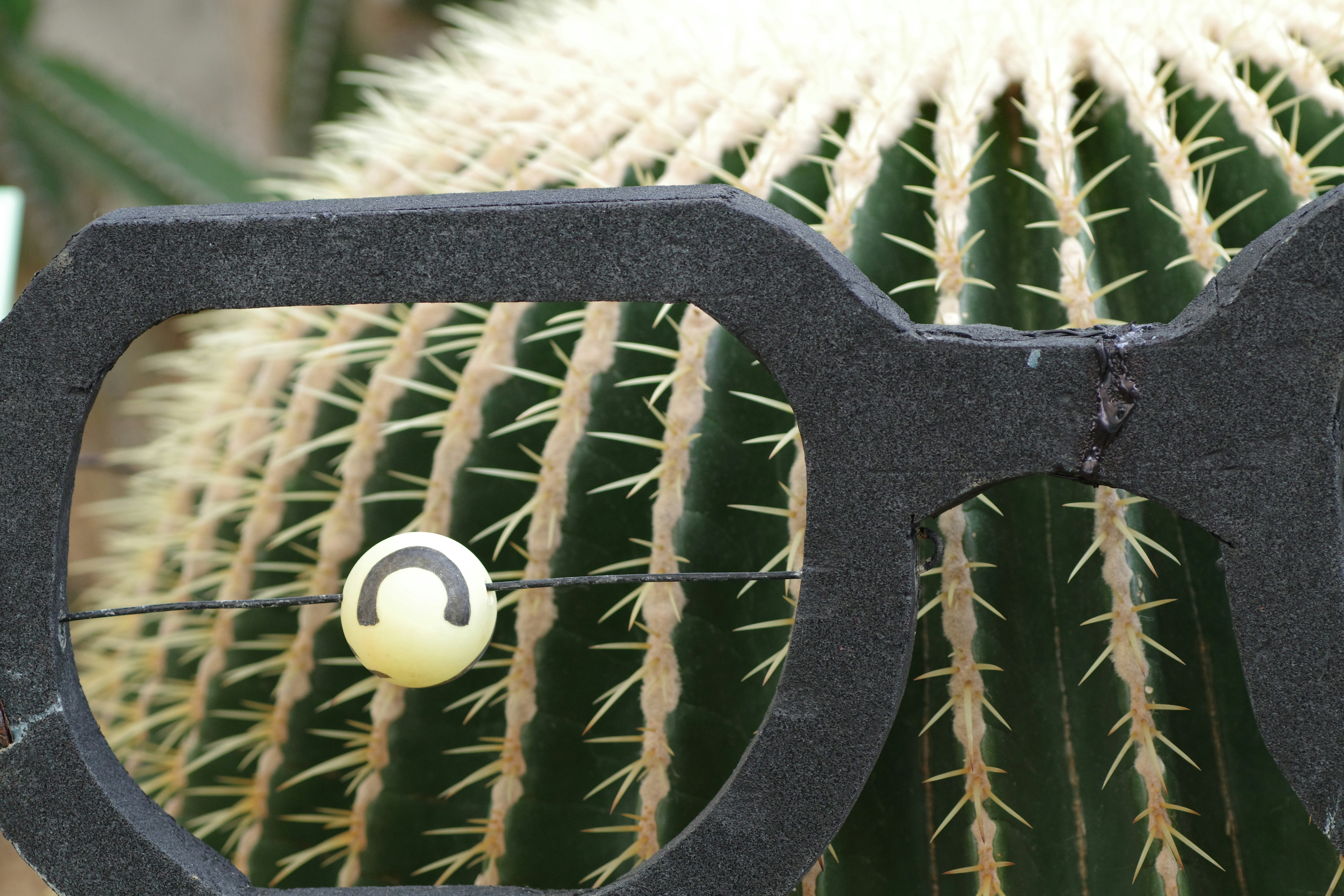Applying oil to gardening sheers blades