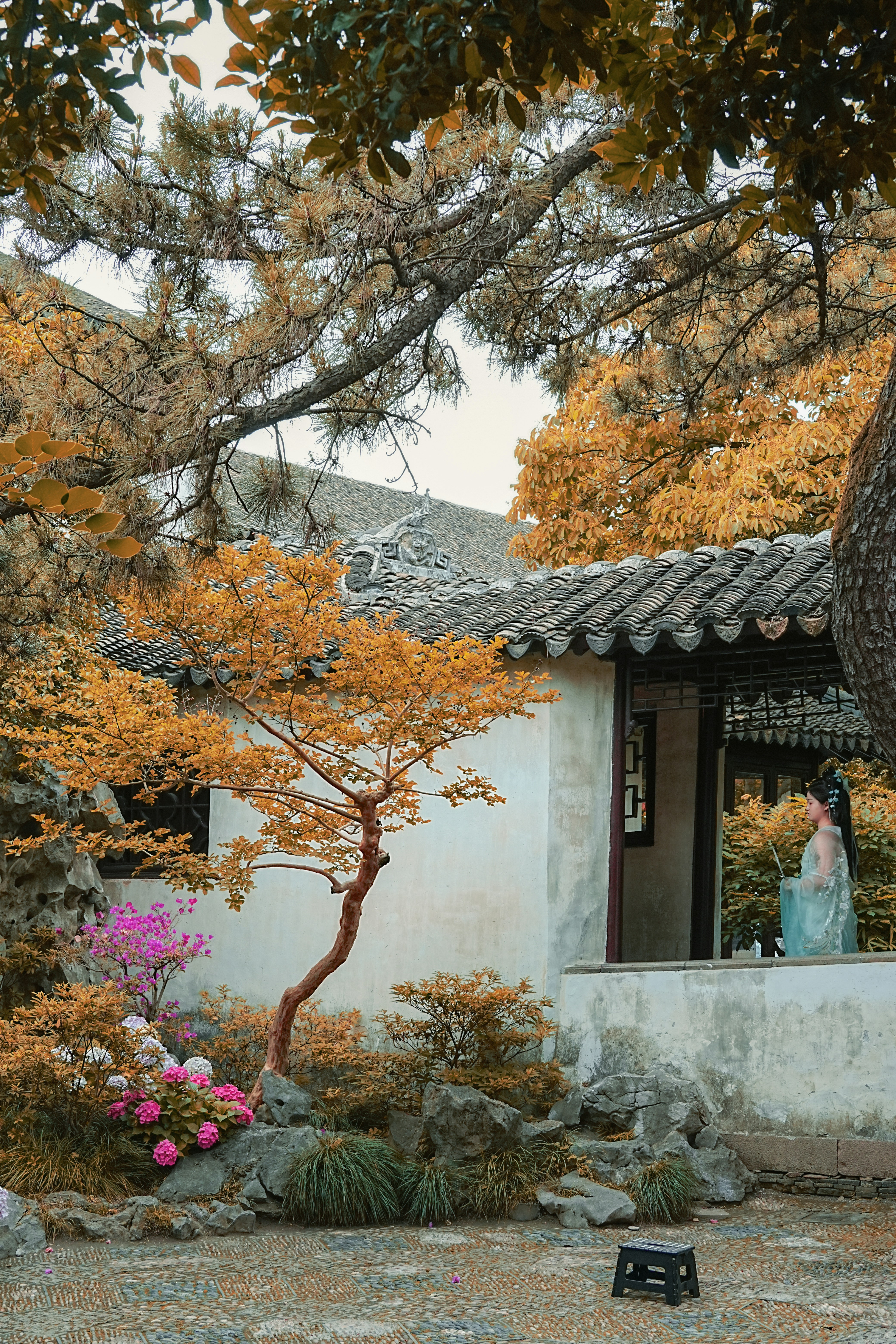 Photo by hattrick1996