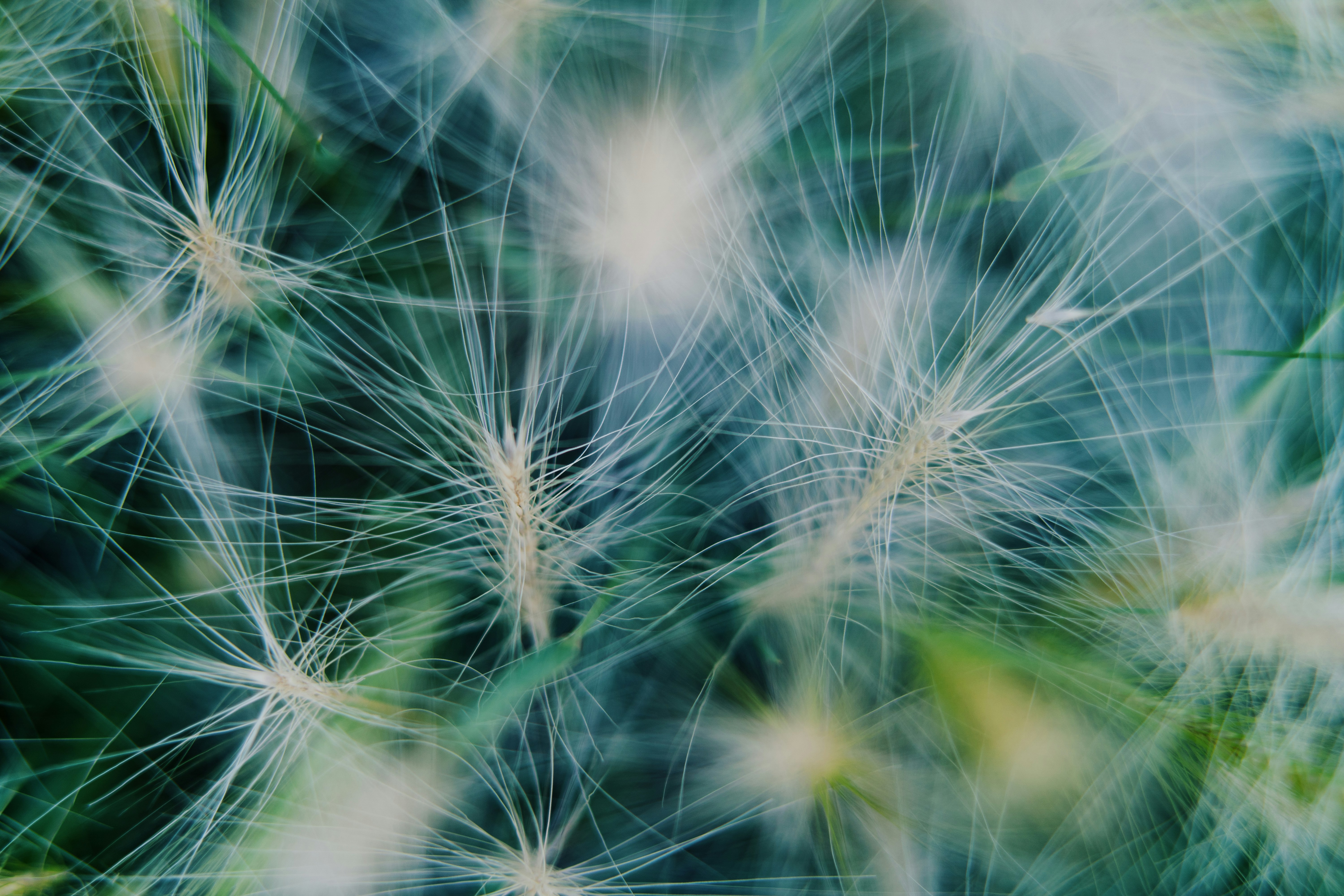 Photo by anamnesis33