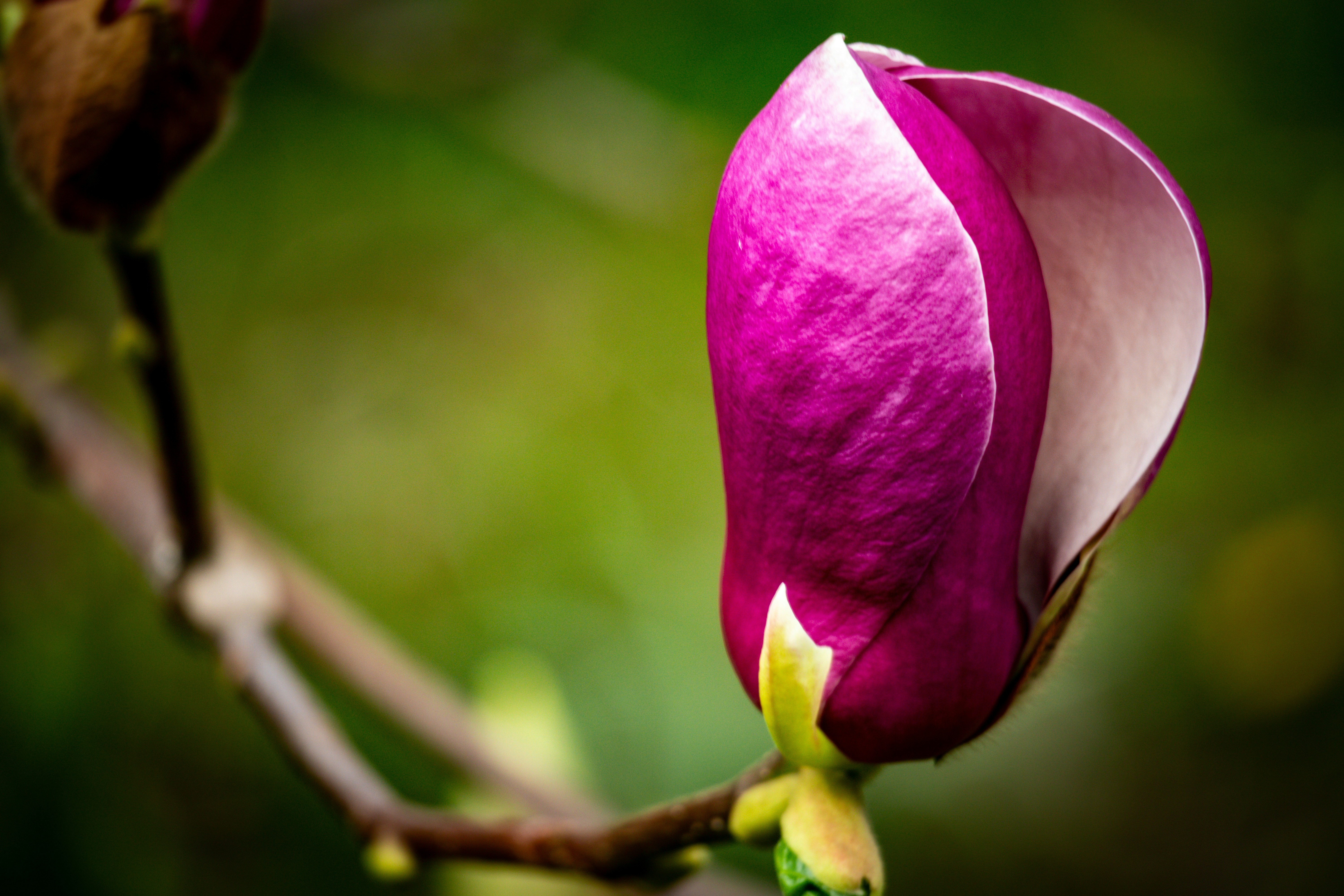 Photo by artur_luczka